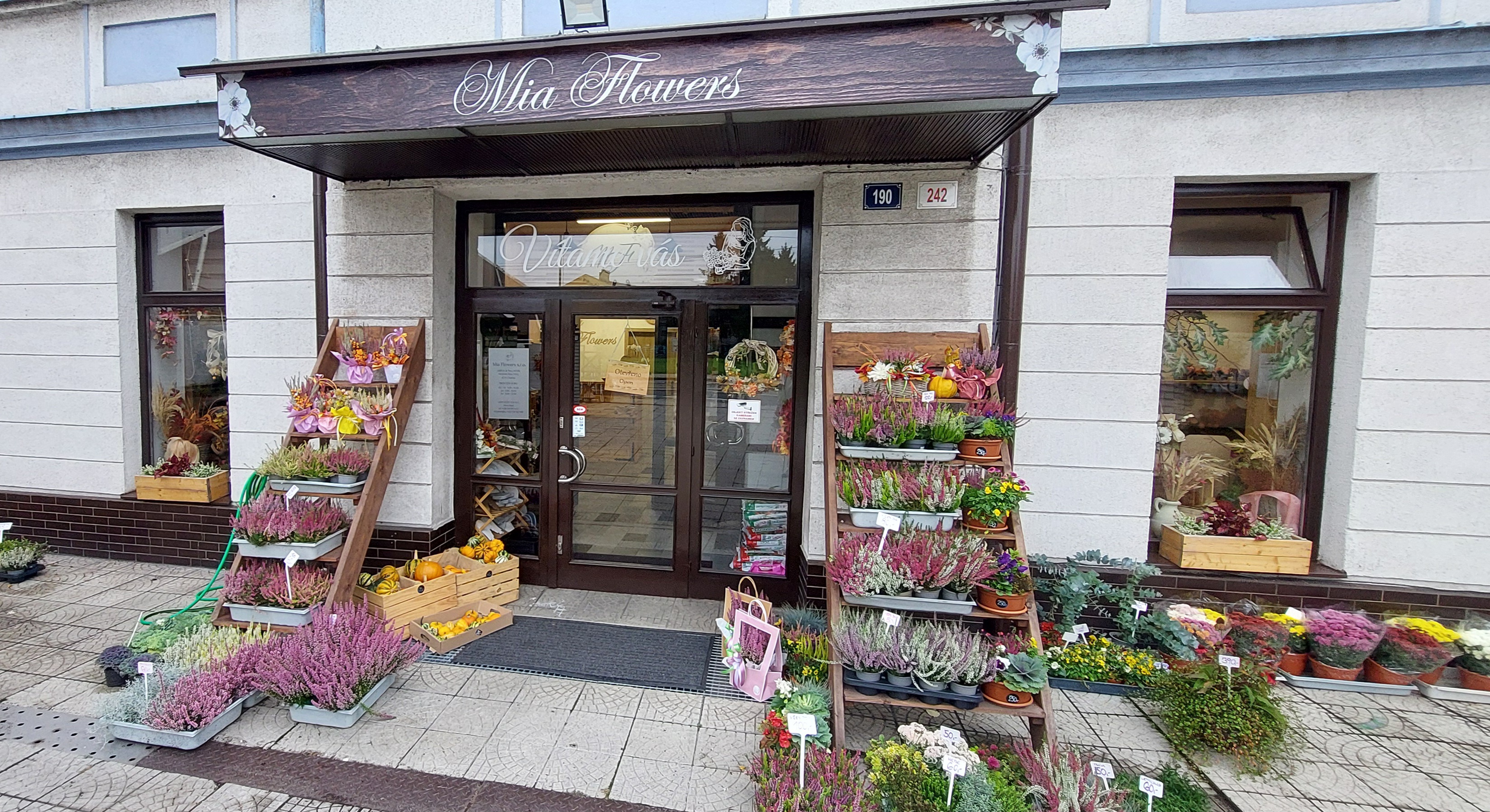 Mia Flowers s.r.o foto 4