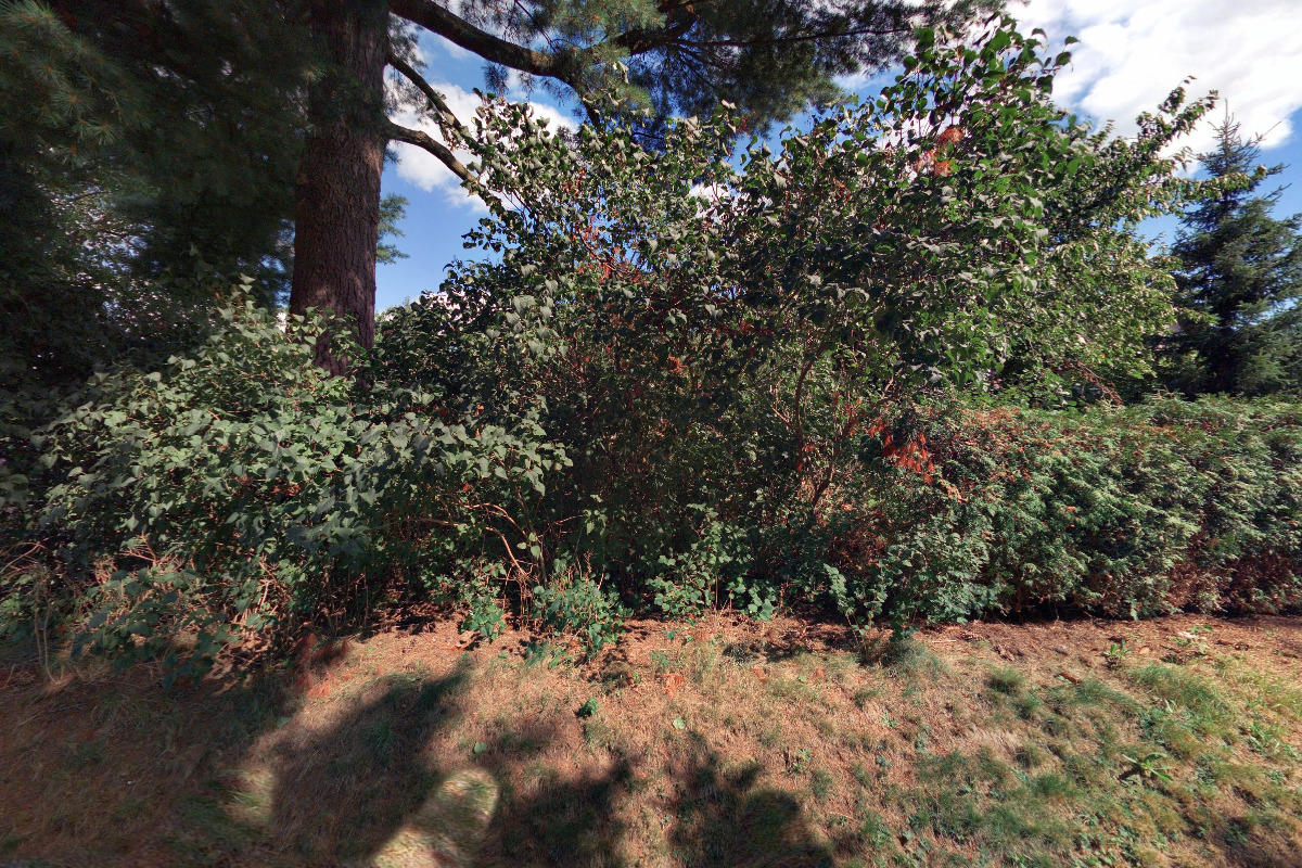 Masáže Větrník foto 4