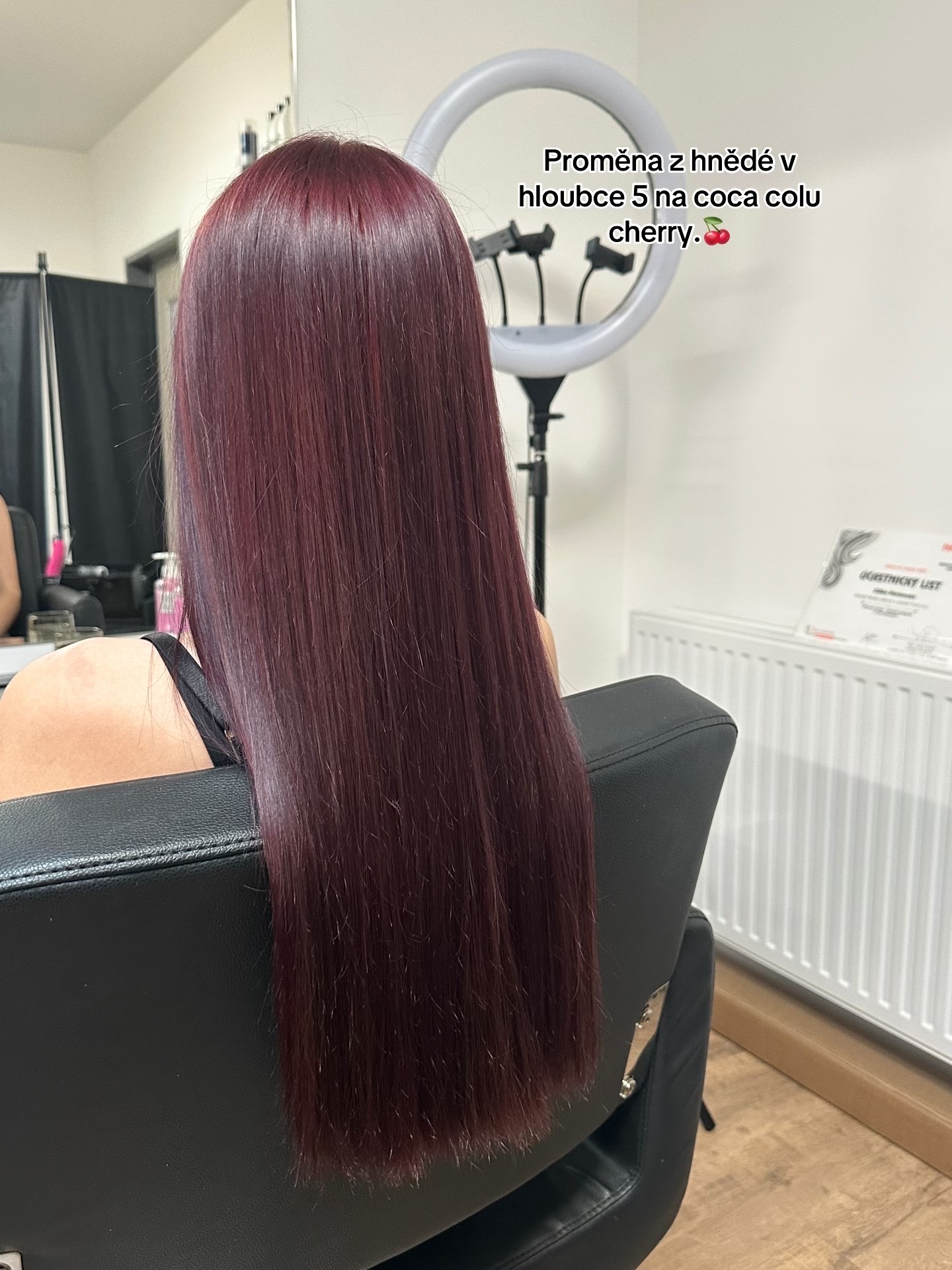Eliška Machovská foto 6