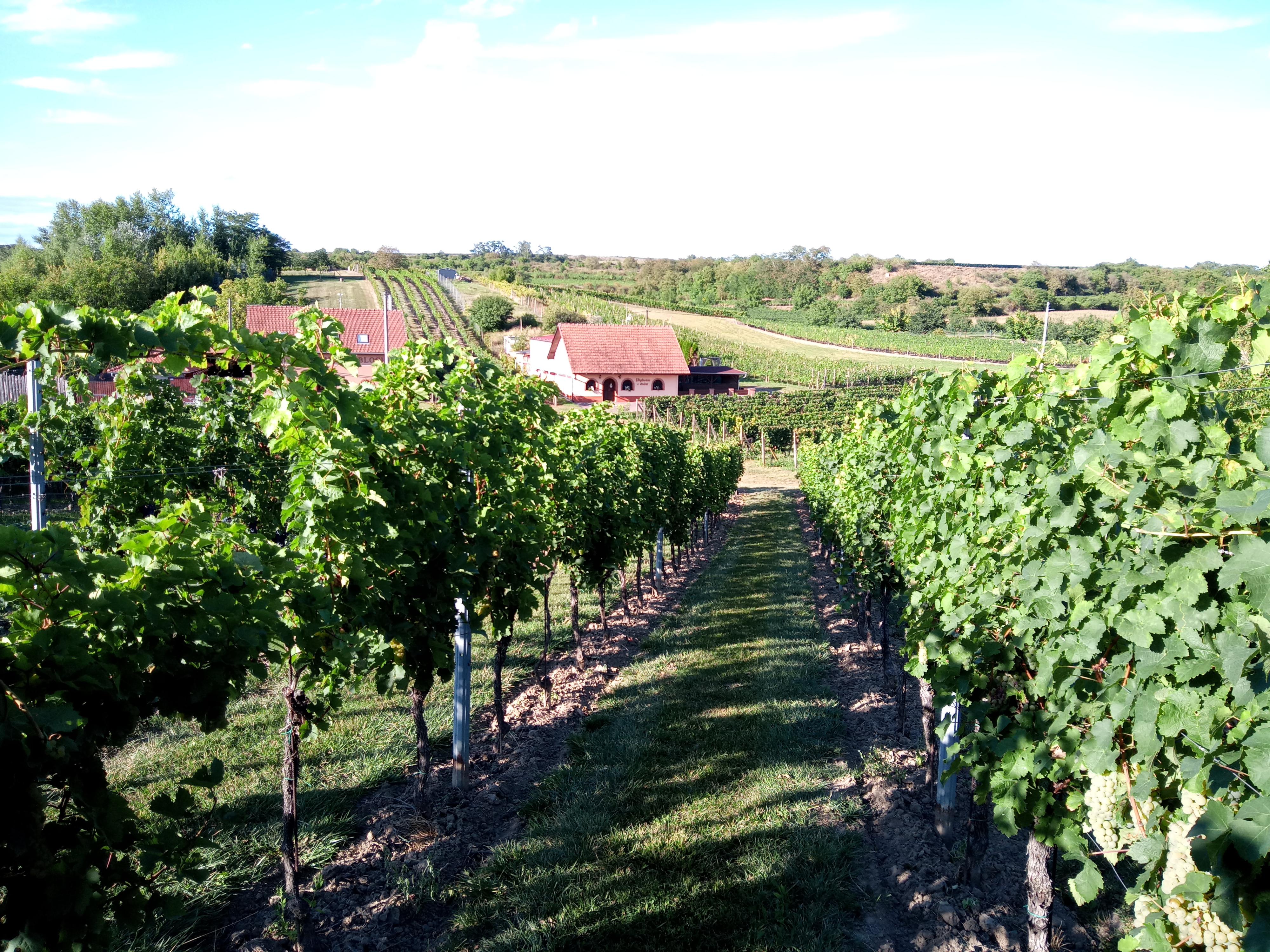 Ubytování v dolině foto 3