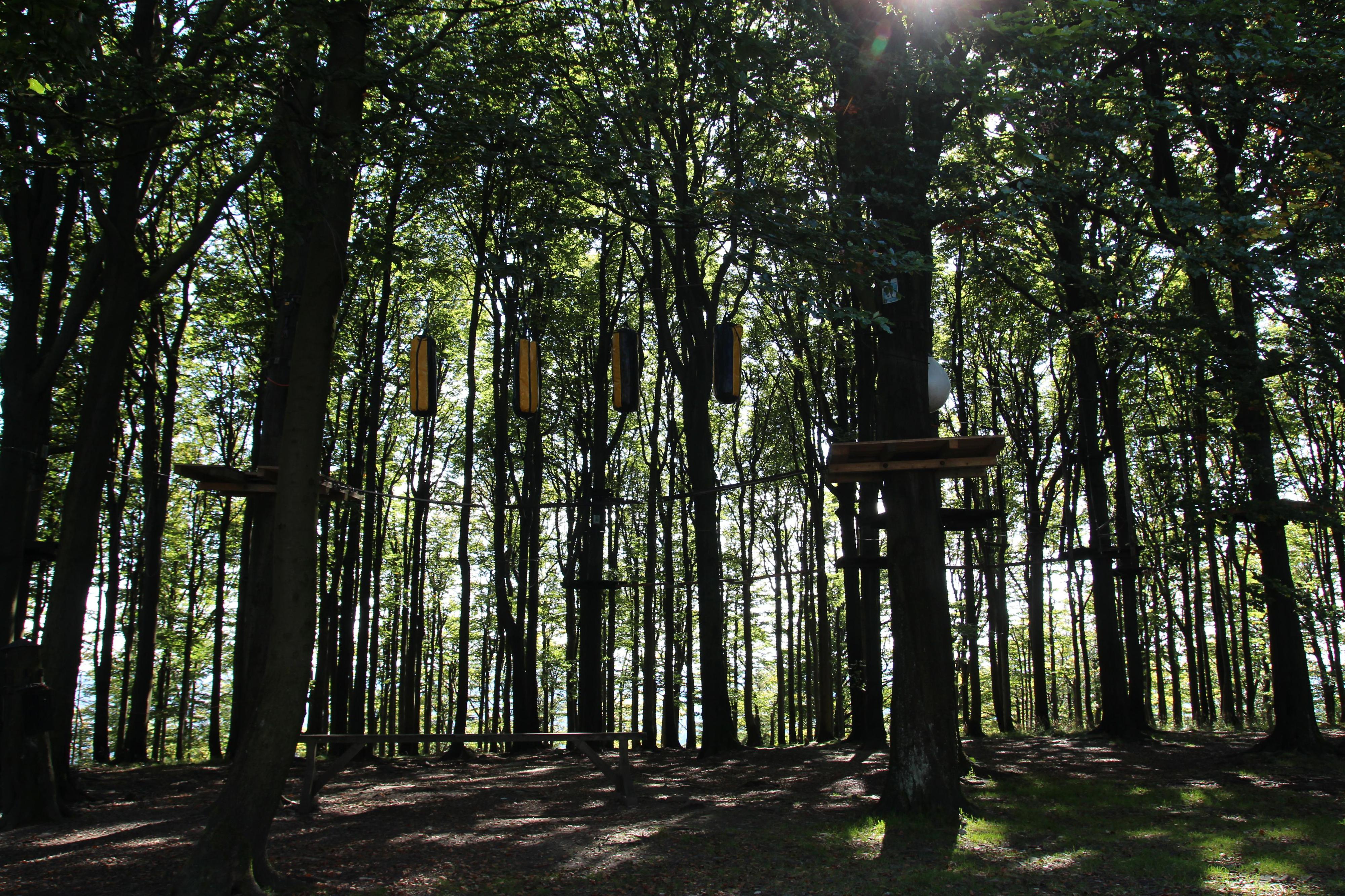 Lanový park Jedlová