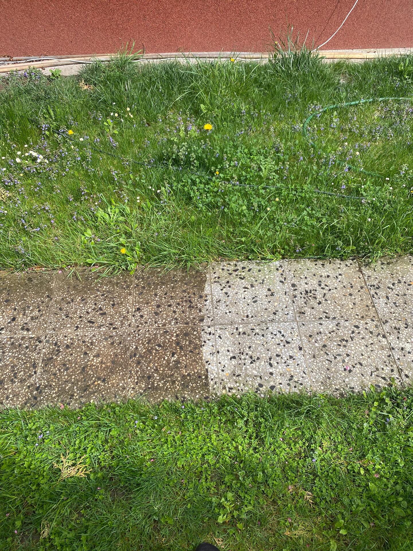 Čistě u Vás foto 3