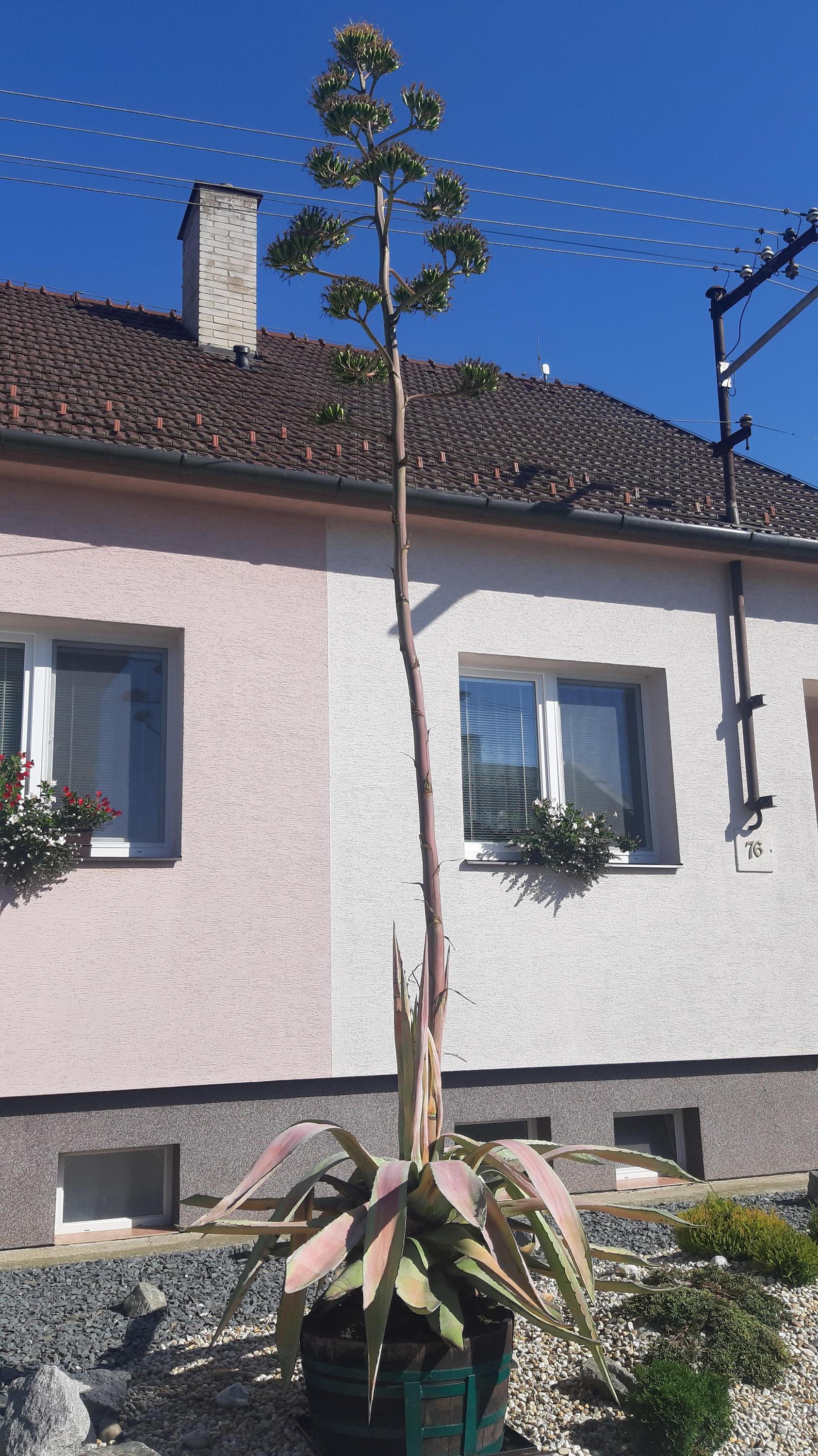 MŠ Kostelany nad Moravou foto 3