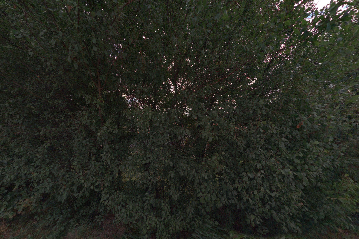 Kulturně společenské centrum Blanka