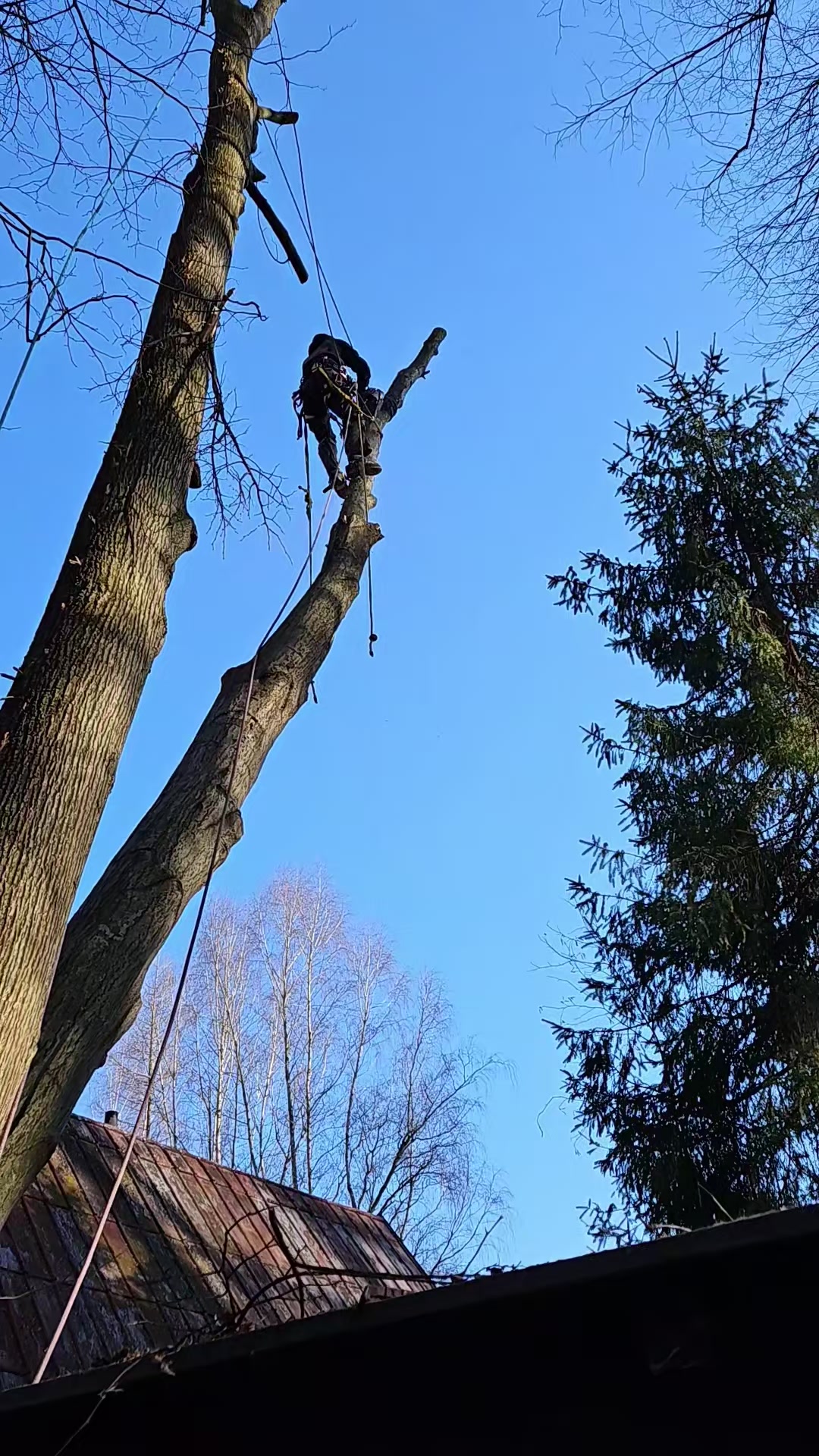 Zrubemto foto 2 (náhled videa)