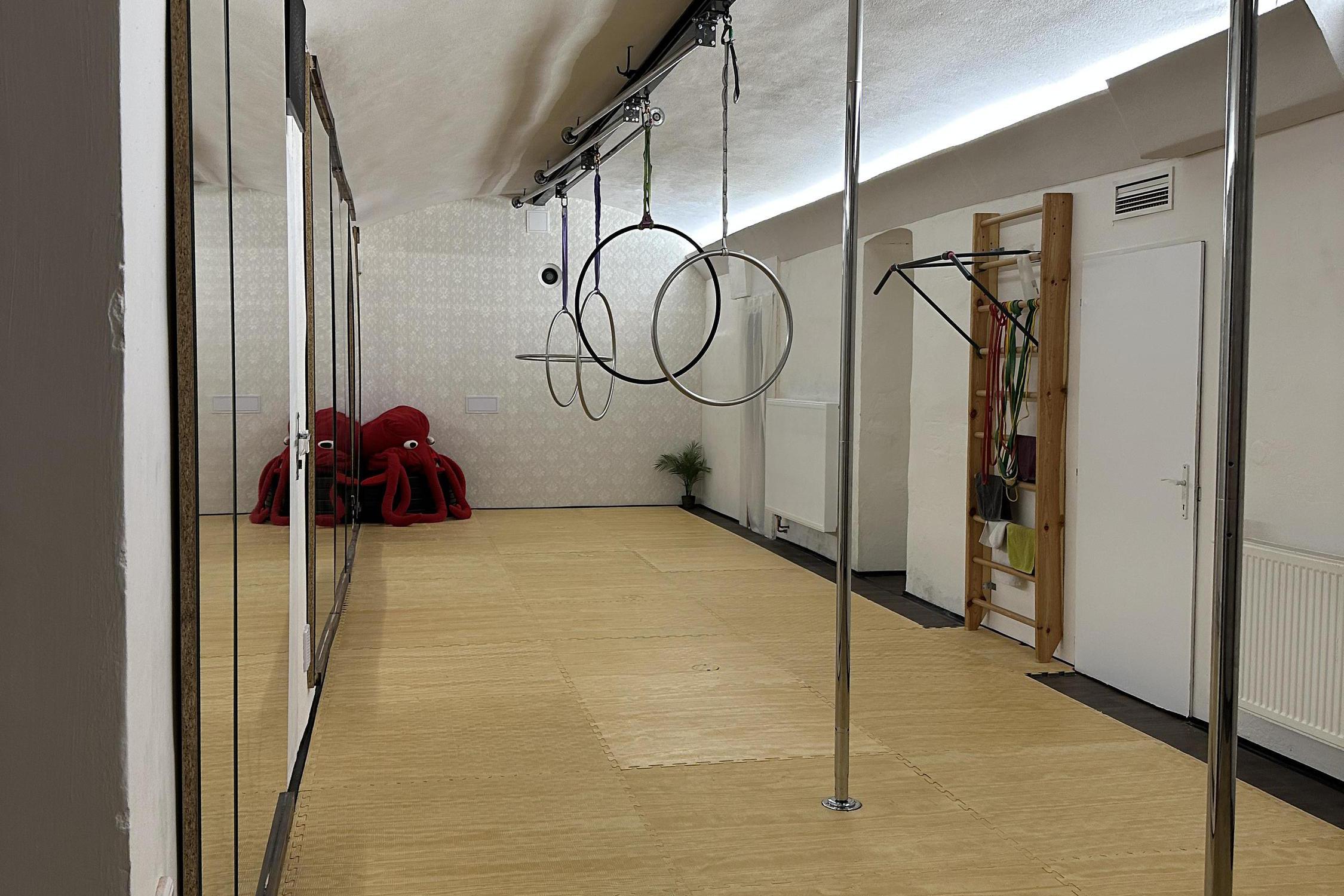 Polpole acrobatic studio