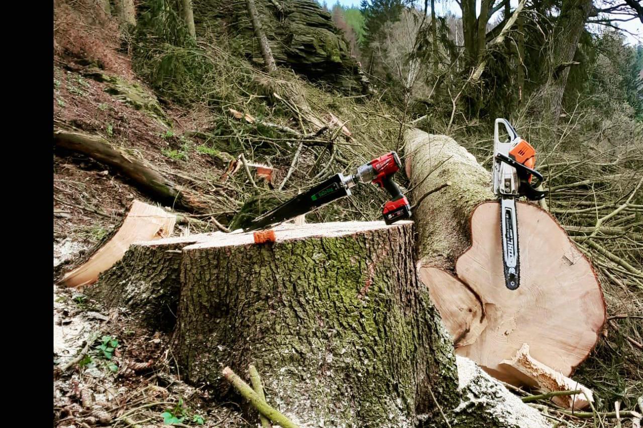 Dřevorubec Věroslav Varmuža