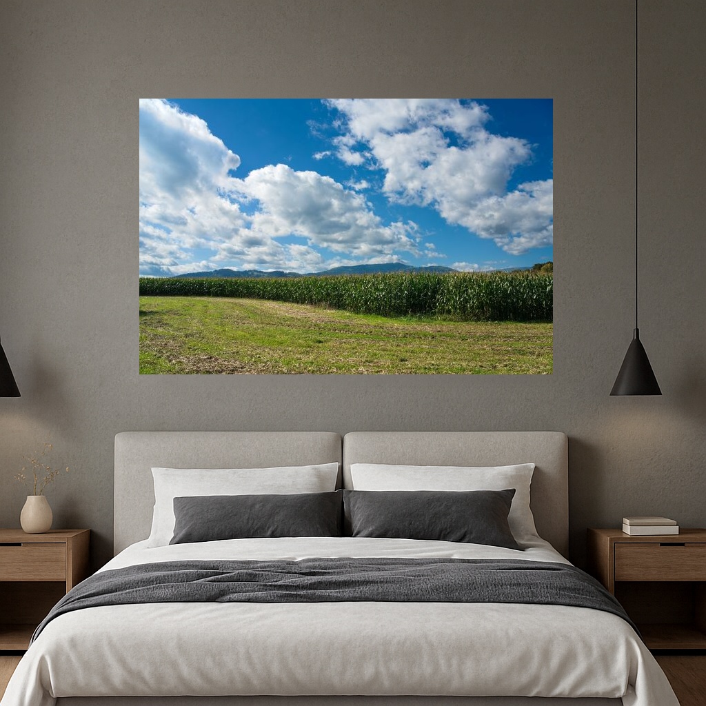 NatureFoto.cz - Vlastimil Bažanowski foto 4