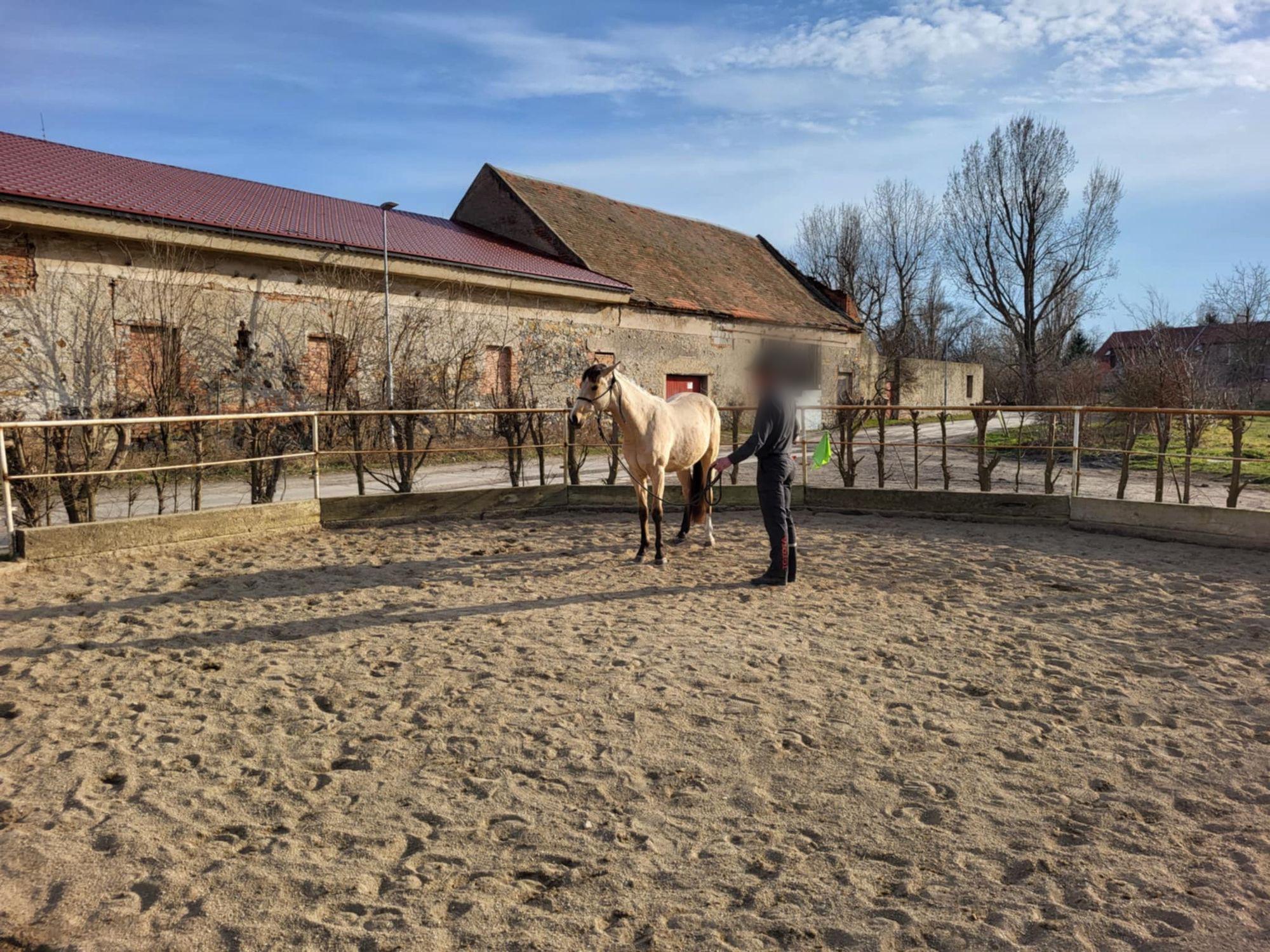 Jezdecká stáj Nad Uličkou foto 2