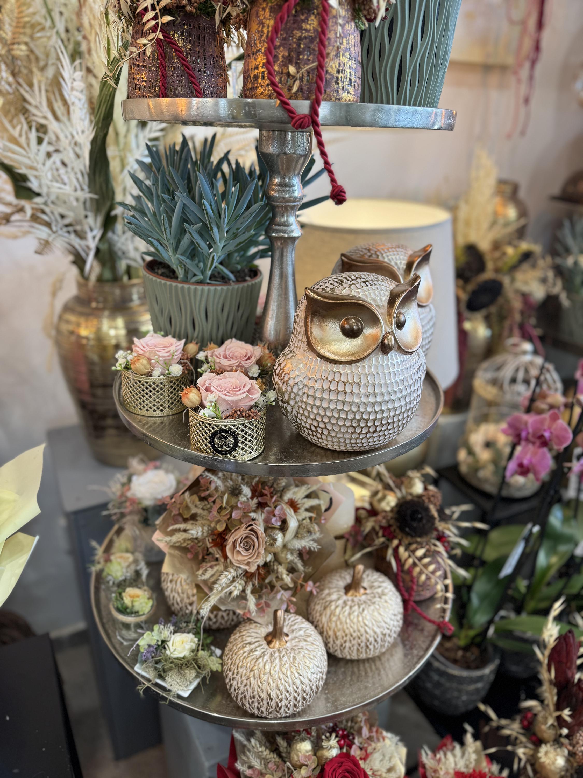 Květinový Ateliér Lotos foto 3