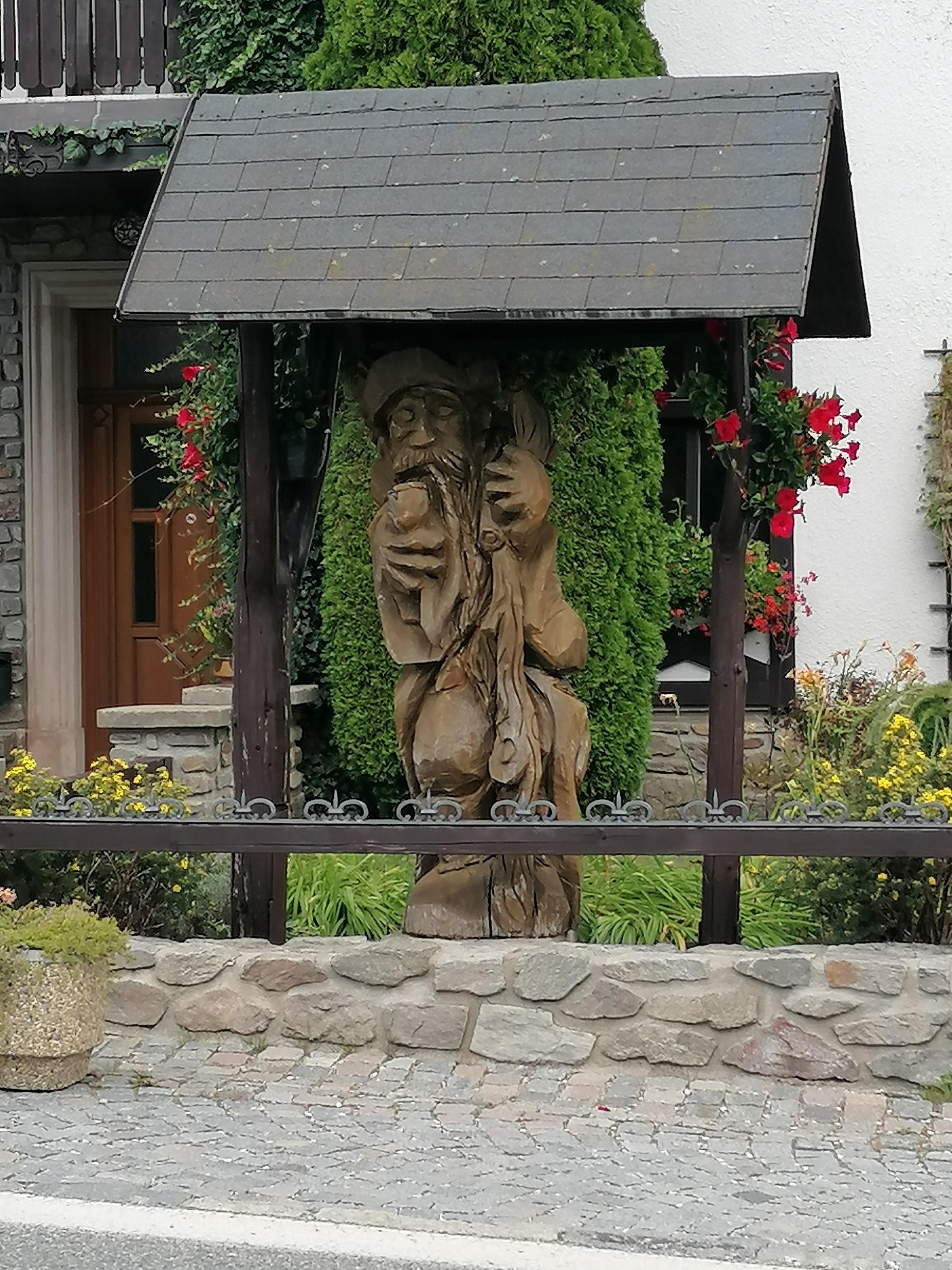 Hotel Lesní dům Janské Lázně foto 3