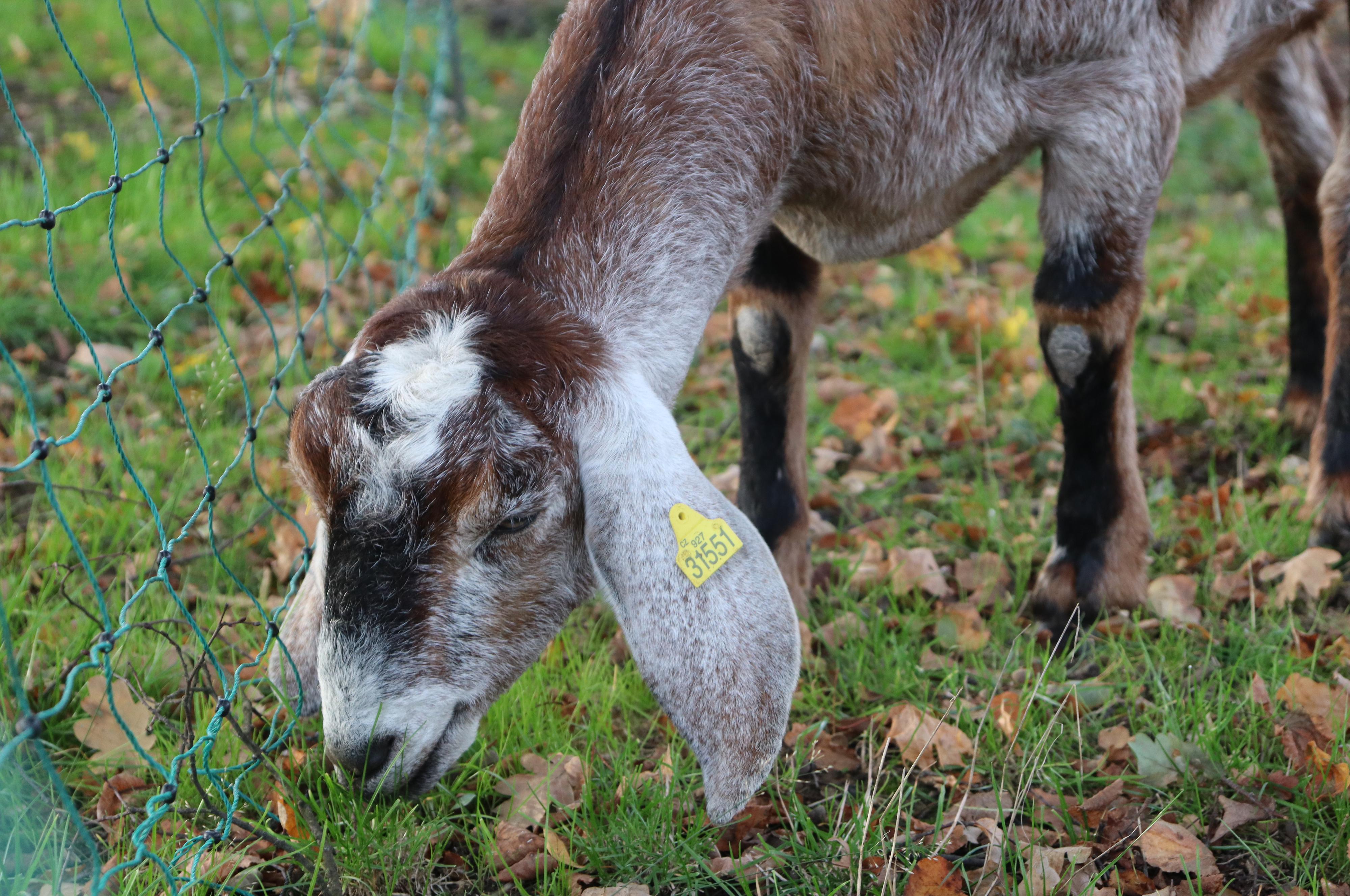 Bc. Sára Stýblová