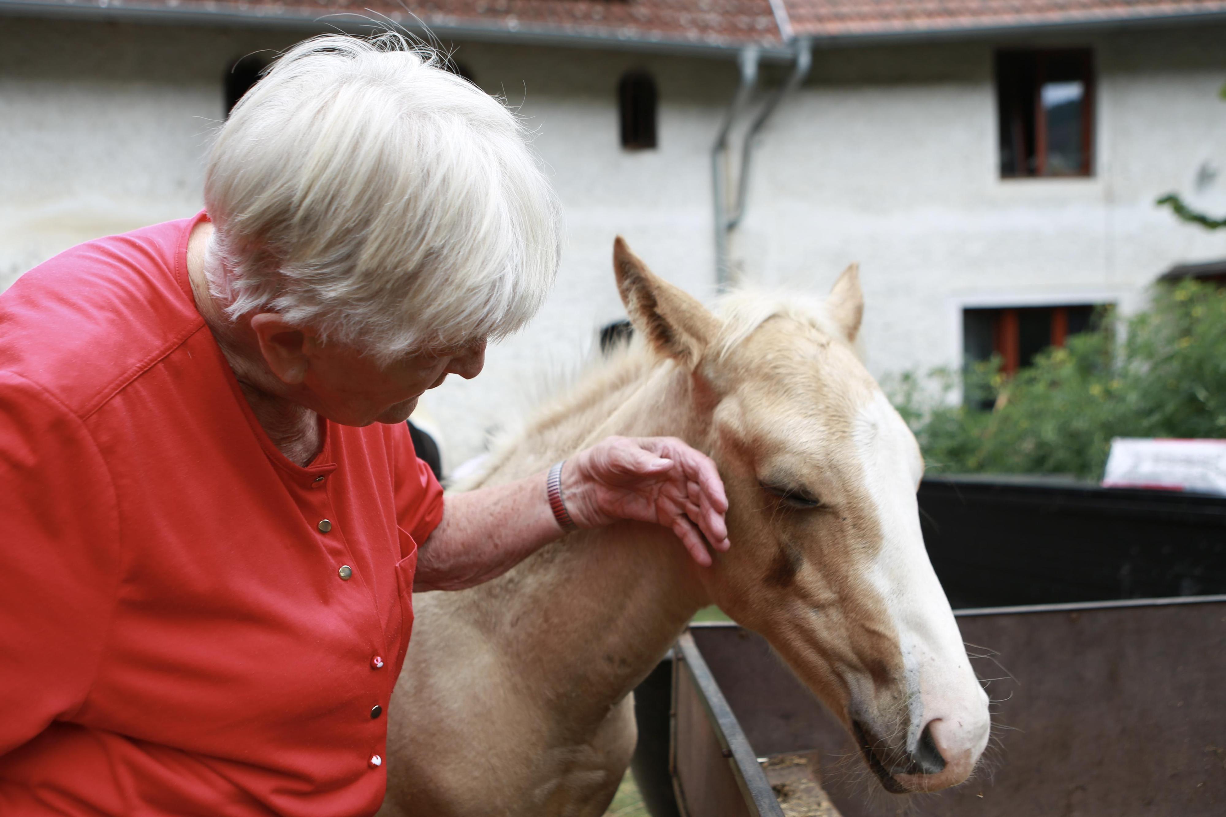 Statek Pohoda Karolína Vágnerová foto 2