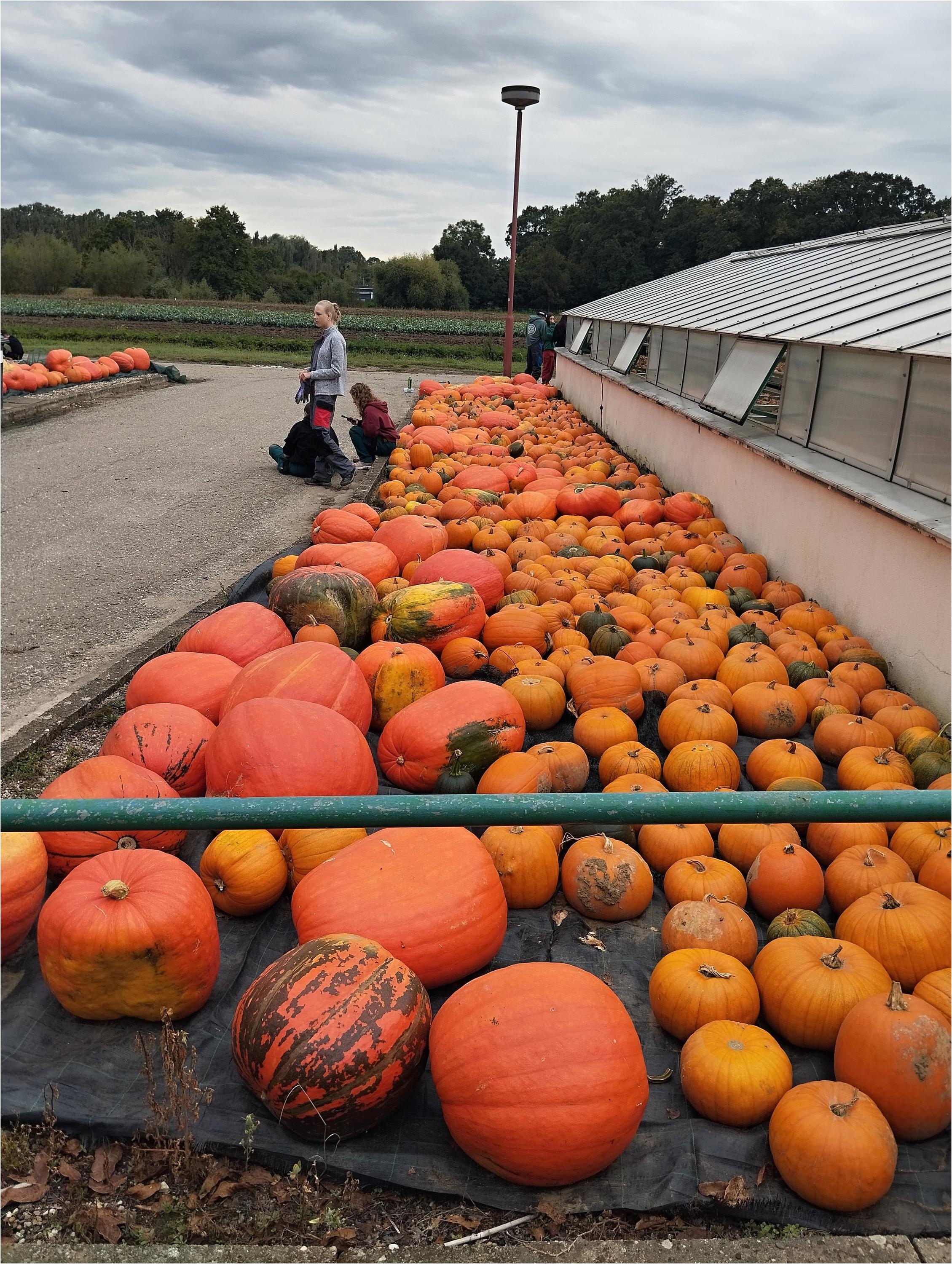 Zahradnictví SŠZe Přerov foto 5