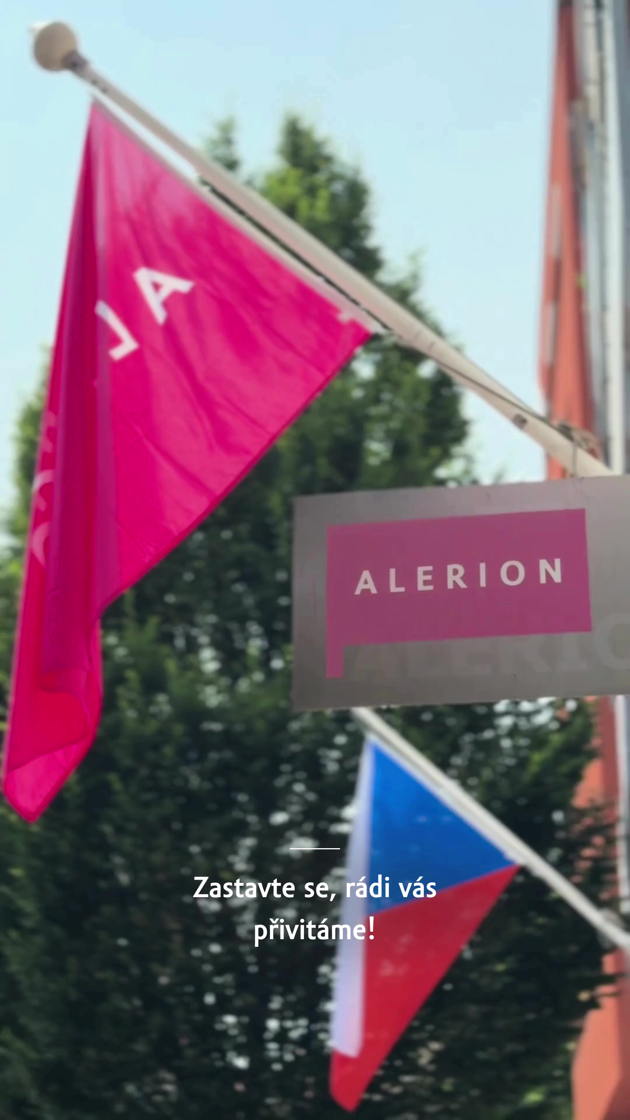 ALERION s.r.o. - znaky & vlajky foto 2 (náhled videa)