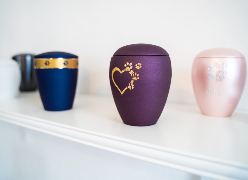 Kremace zvířat Karlovy Vary foto 3