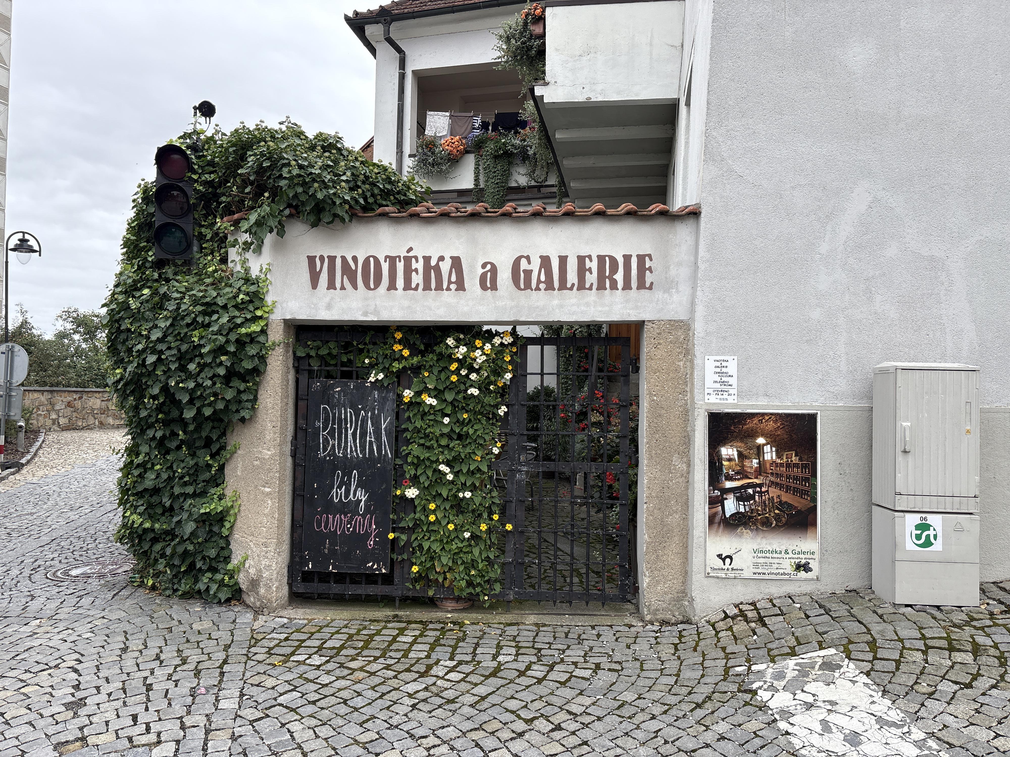 Vinotéka a galerie U Černého kocoura a zeleného stromu