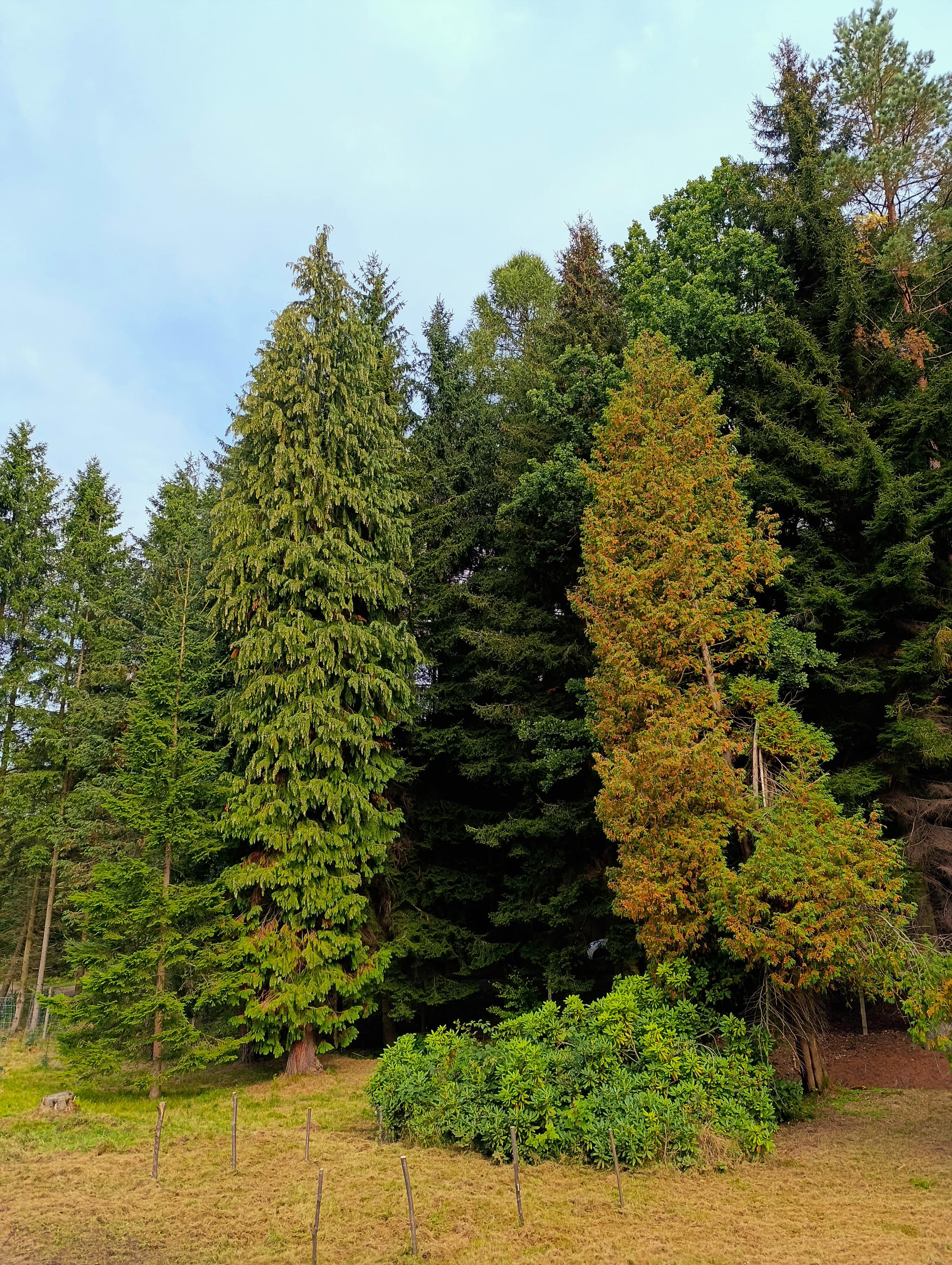 Arboretum foto 4