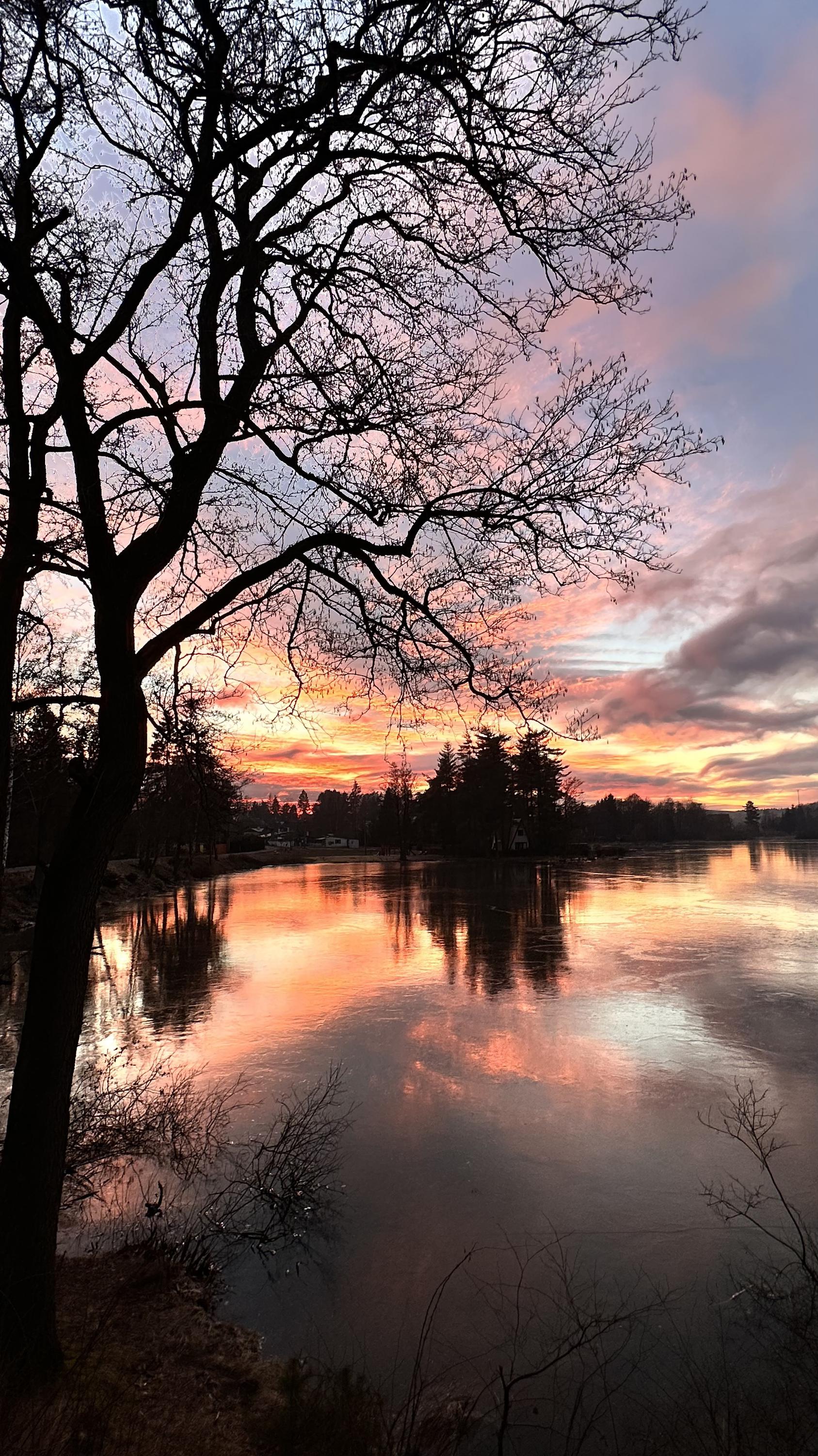 U Páji - Bistro Na půl cesty foto 4
