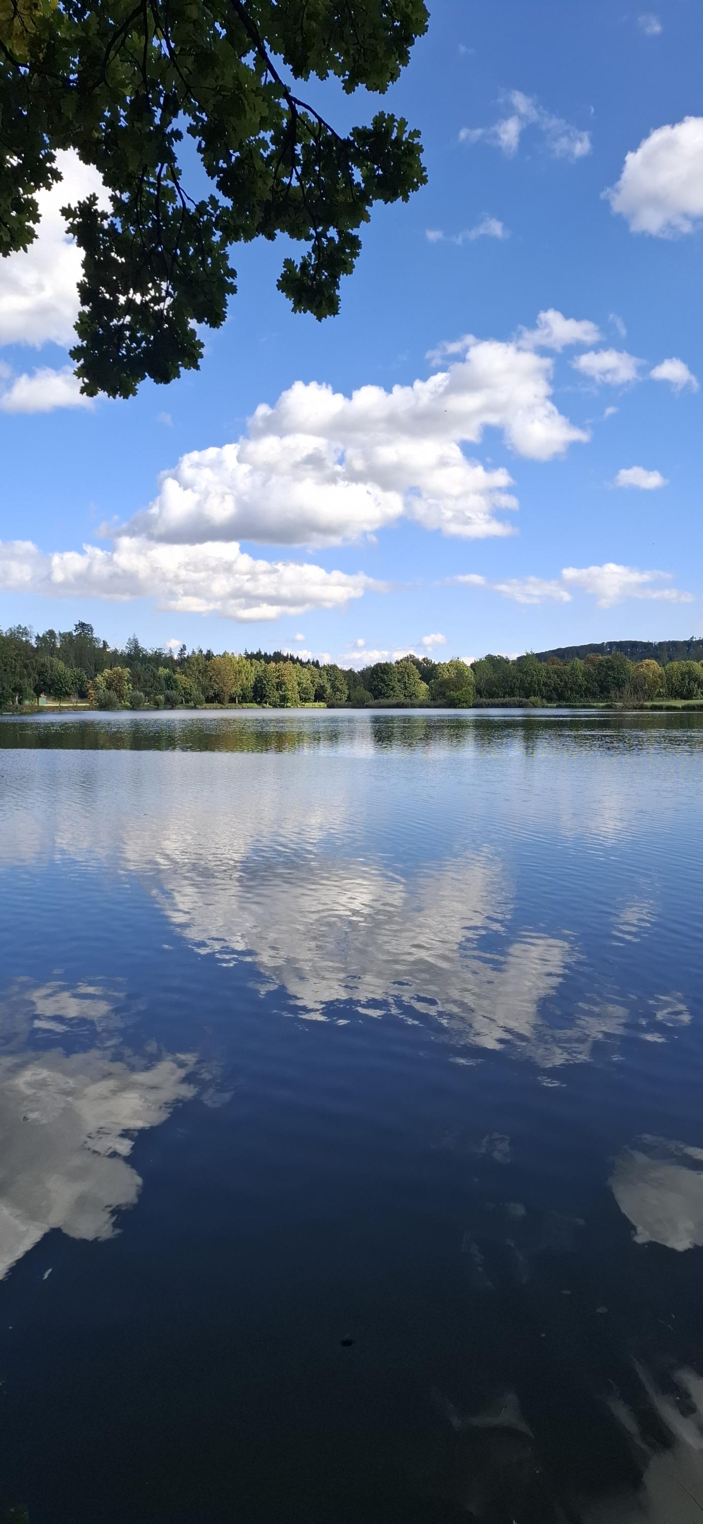 HRUŠKA foto 2
