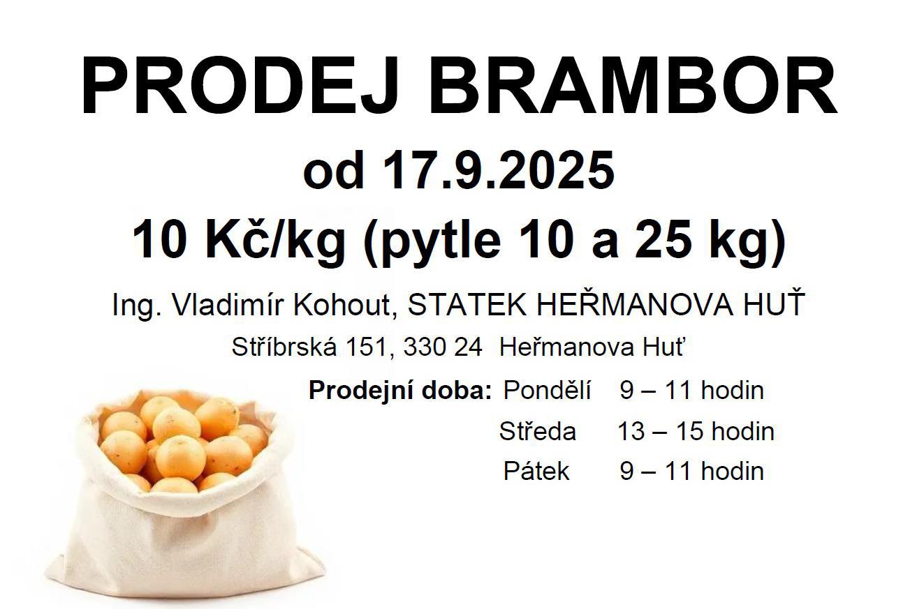 Ing. Vladimír Kohout foto 1