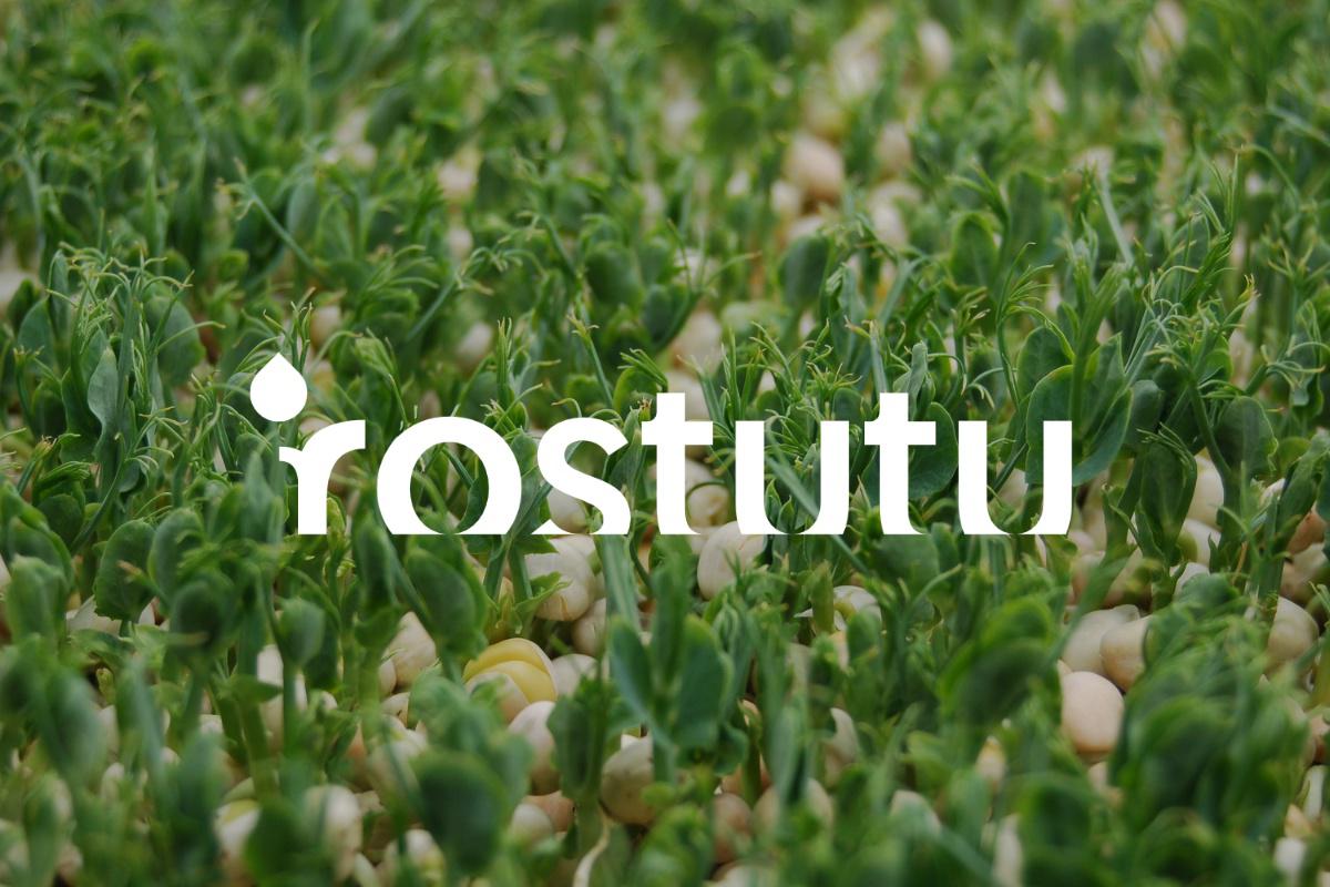rostutu foto 1