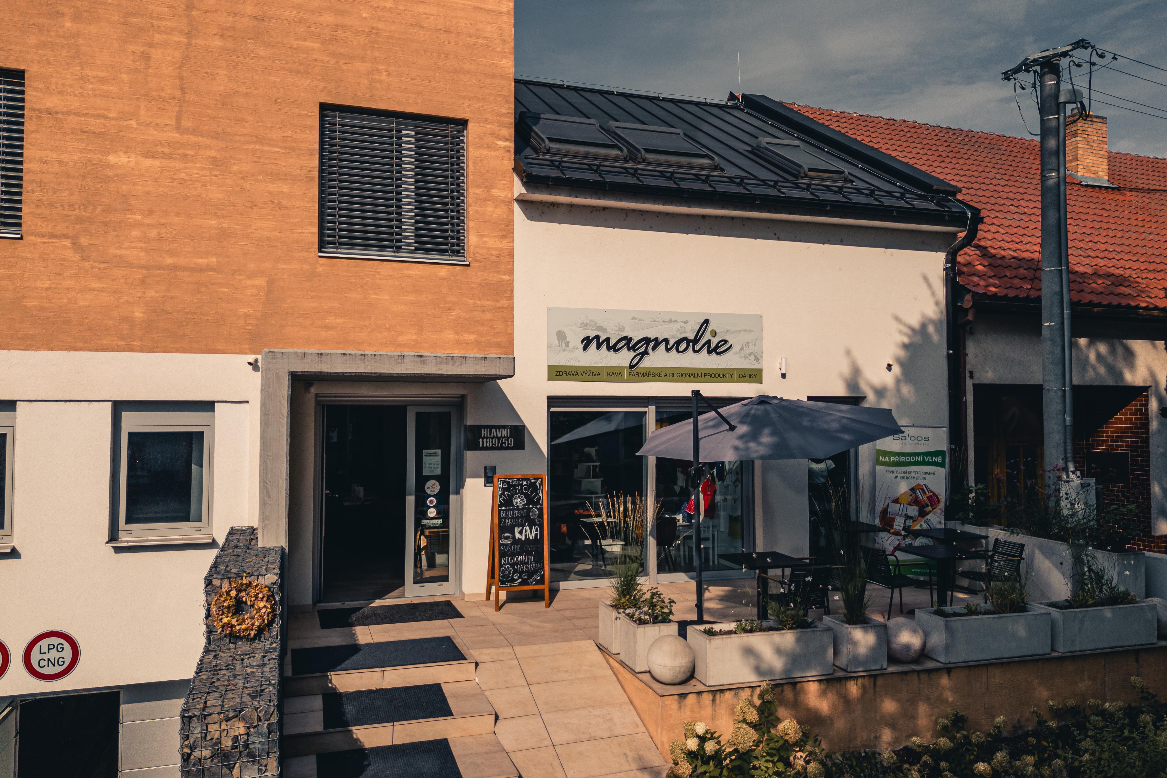 Magnolie - zdravá výživa