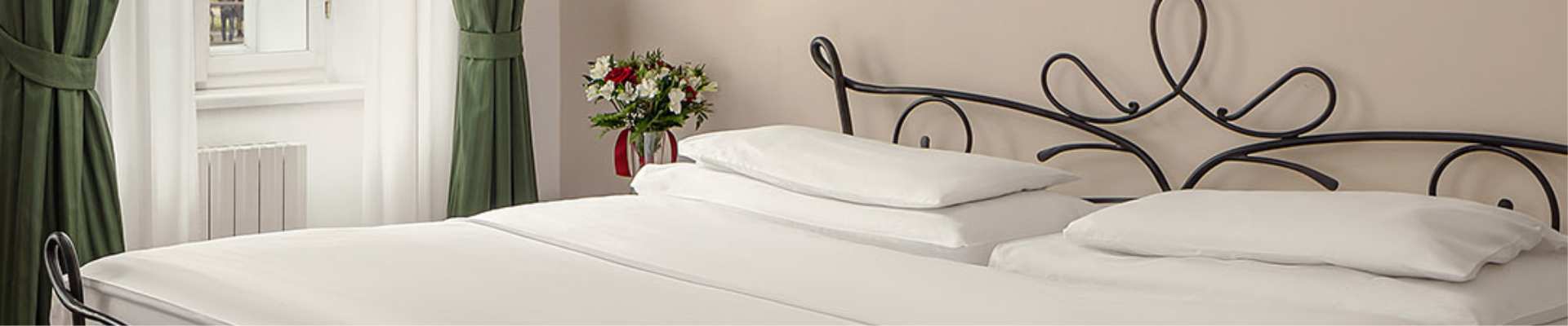 Úvodní obrázek Hotel Roma