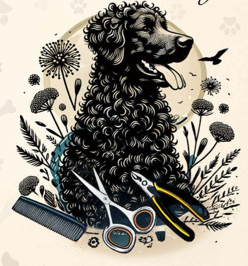 Elegantní tlapky foto 2