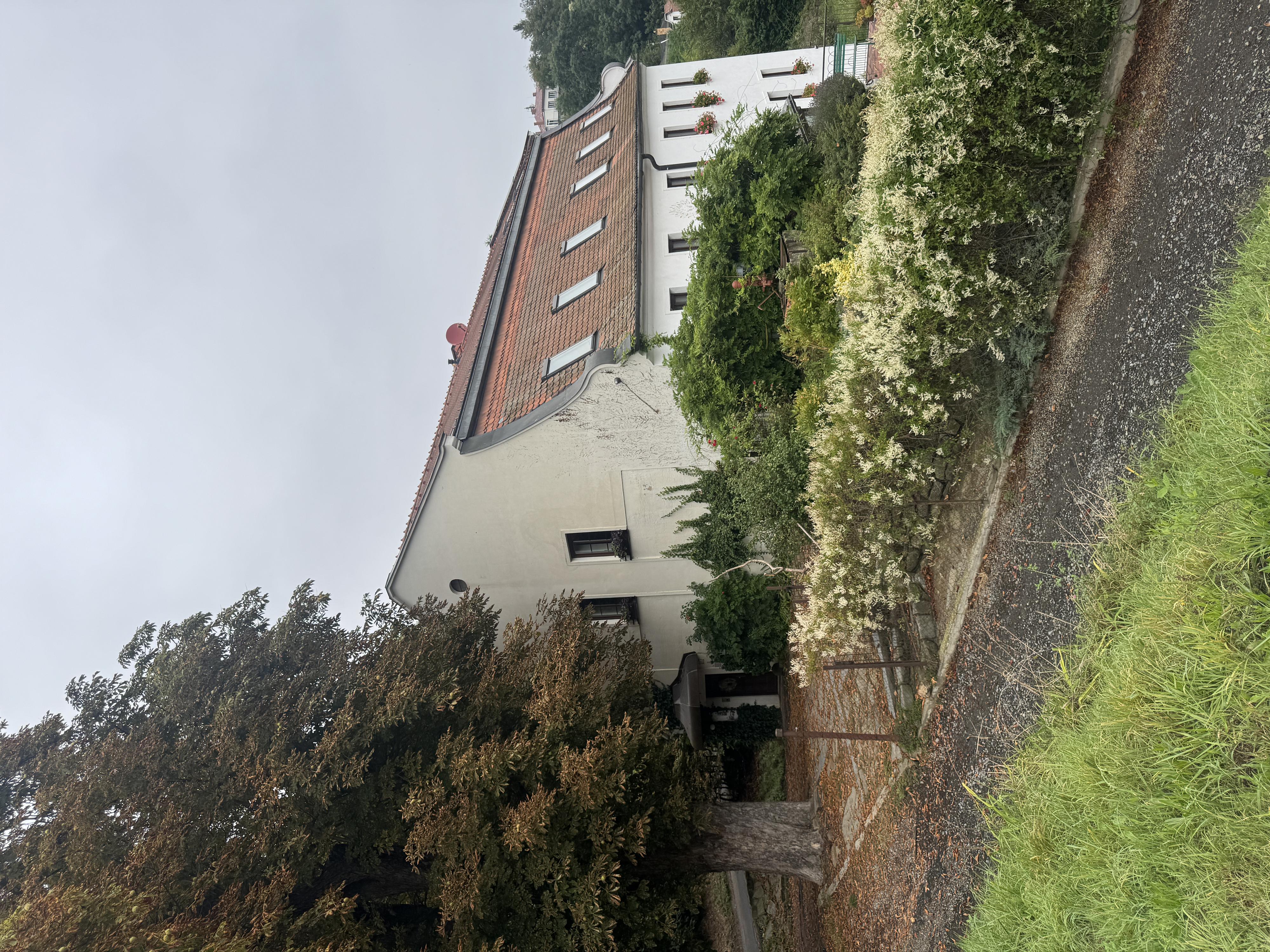 Penzion Ve Mlýně foto 2