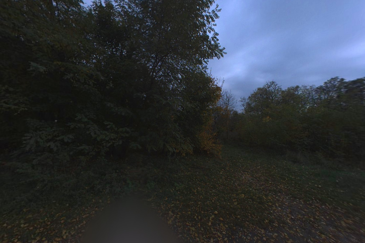 Glamping Lednice Tiny House foto 5