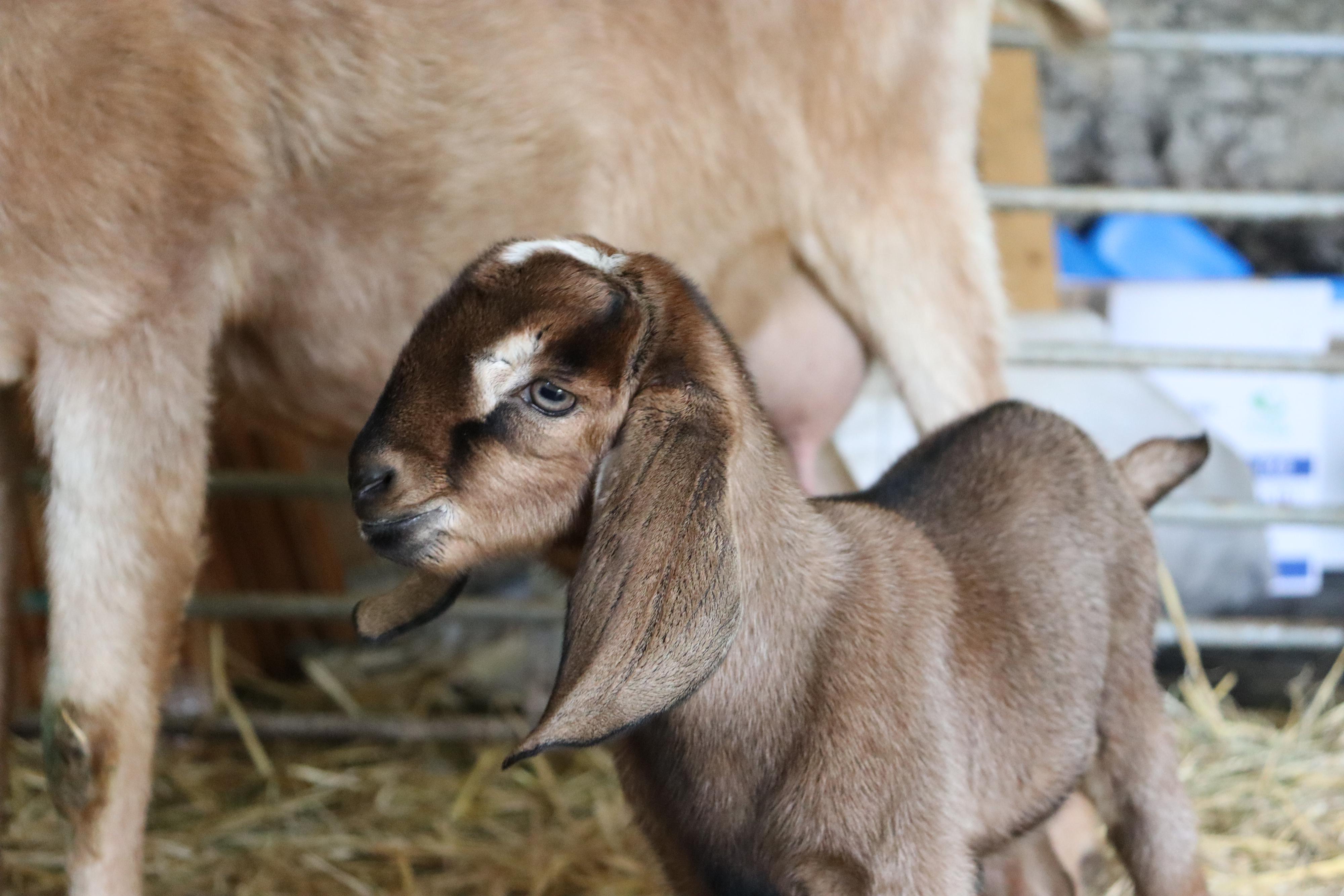 Bc. Sára Stýblová foto 2