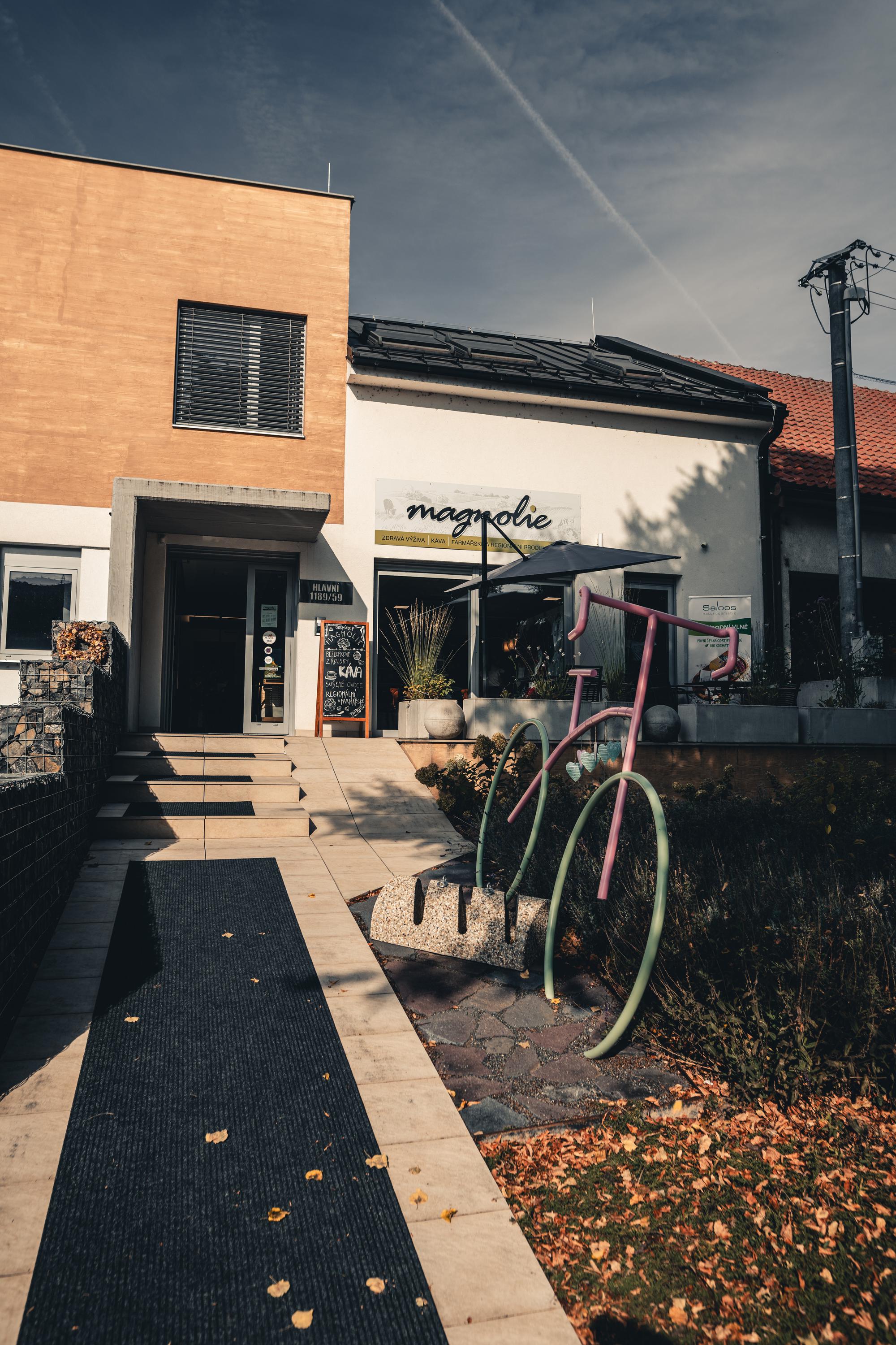 Magnolie - zdravá výživa foto 3