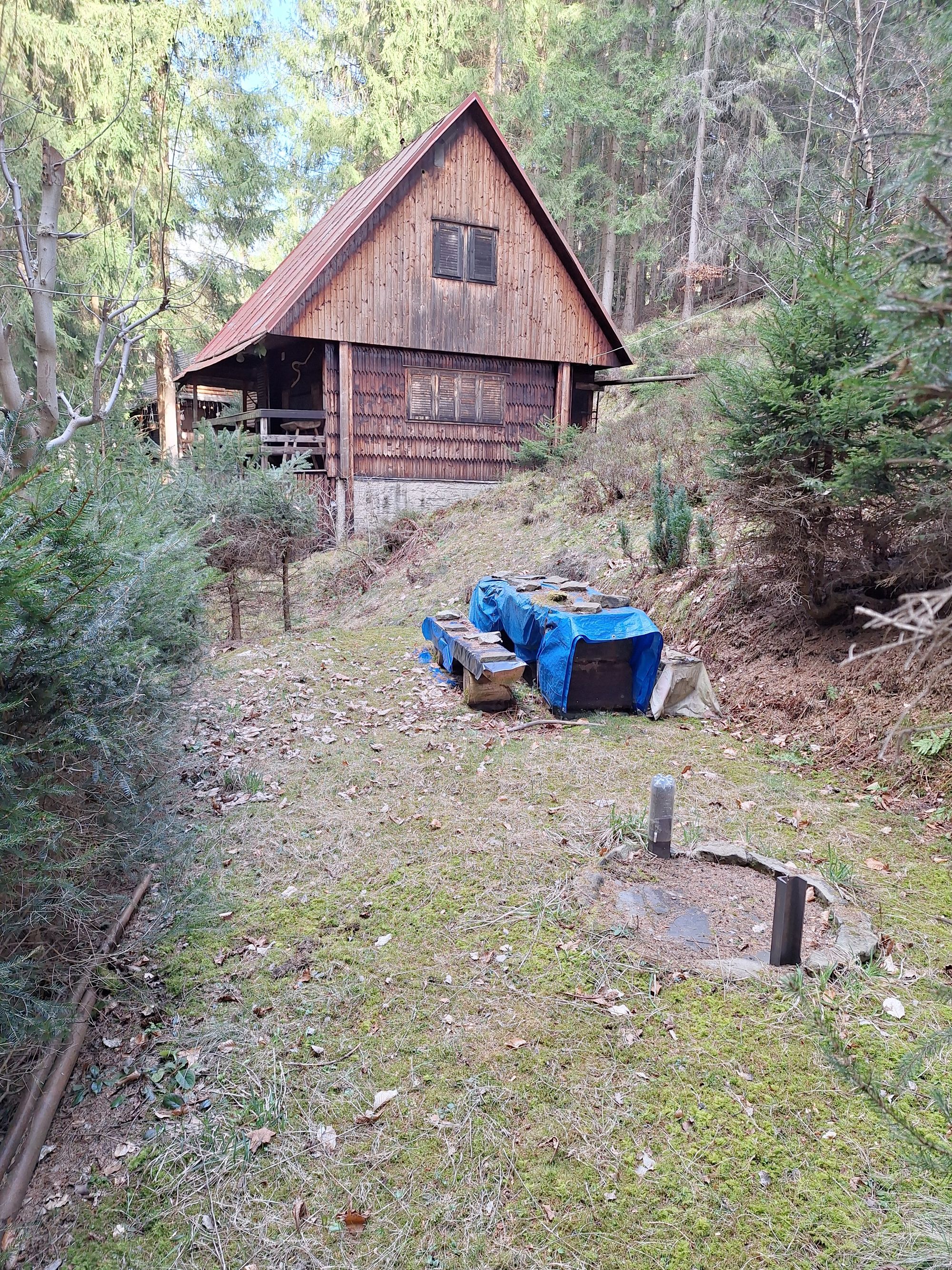 Lesněnka foto 2