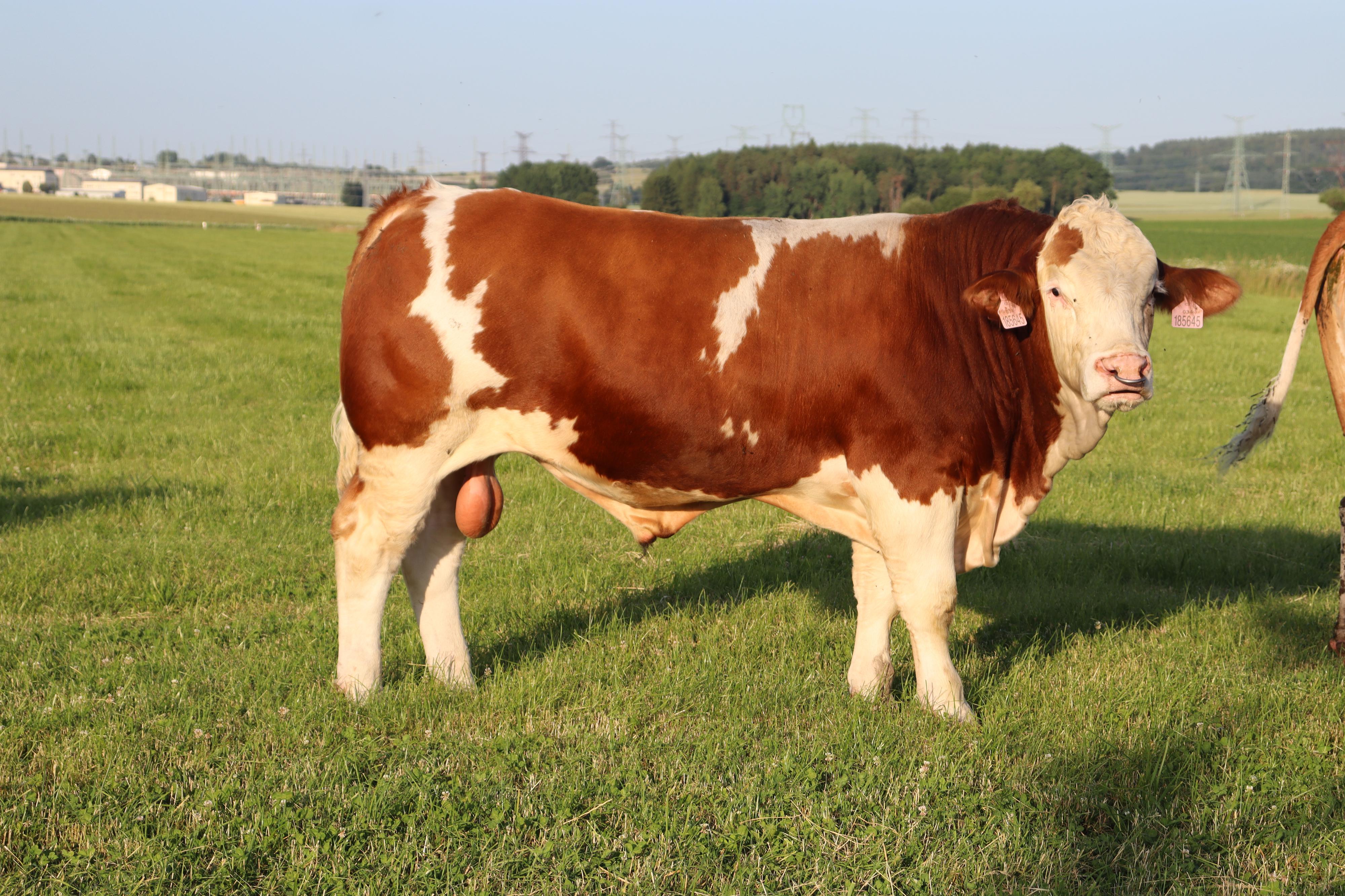Farma Malešice foto 6