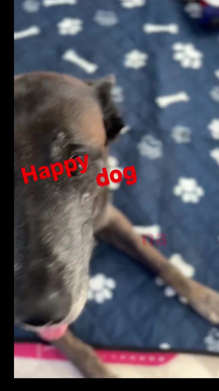 Pavel Černý, veterinární technik foto 2 (náhled videa)