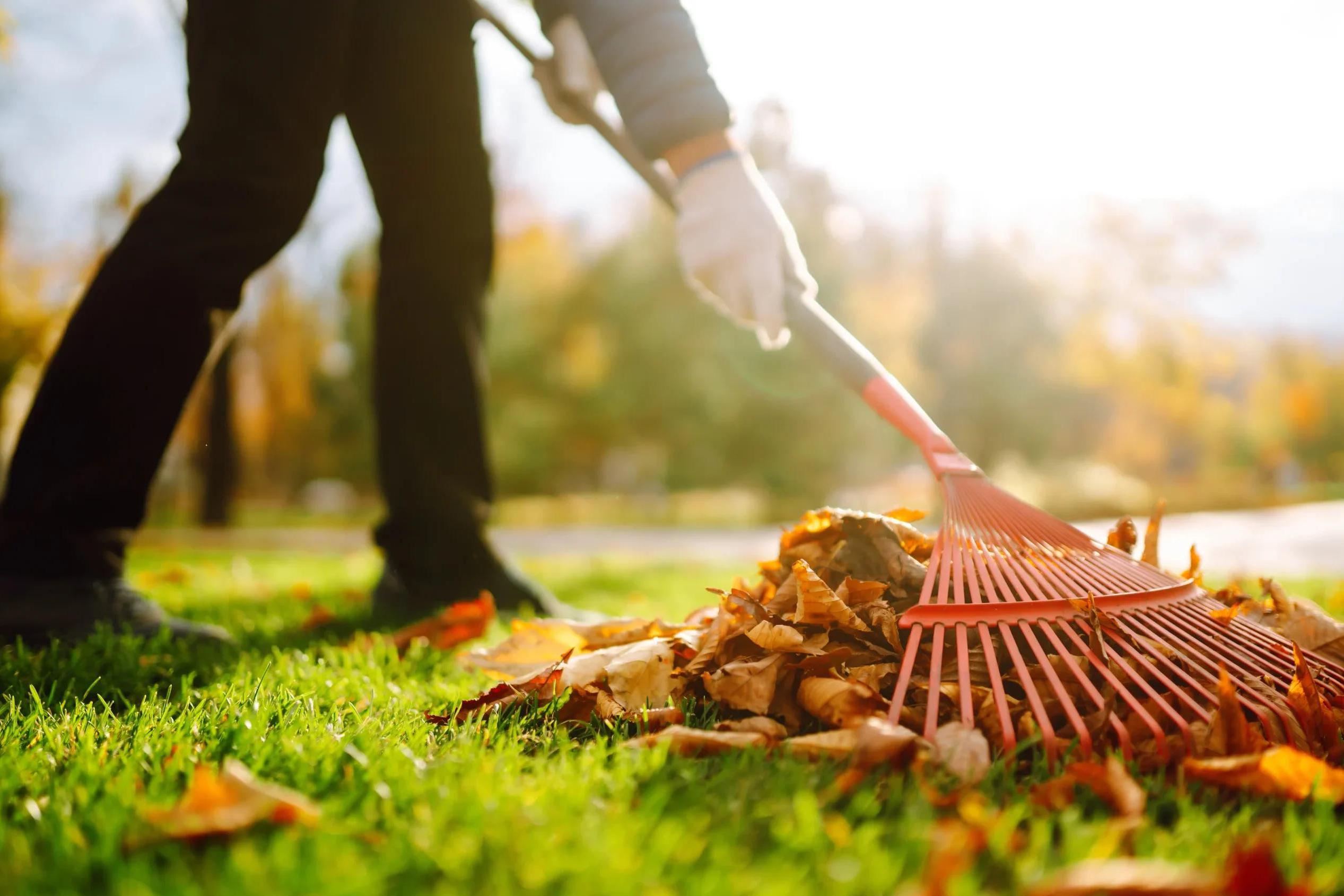 Šetrné hrabání listí a úklid trávníků
