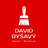 logo David Ryšavý