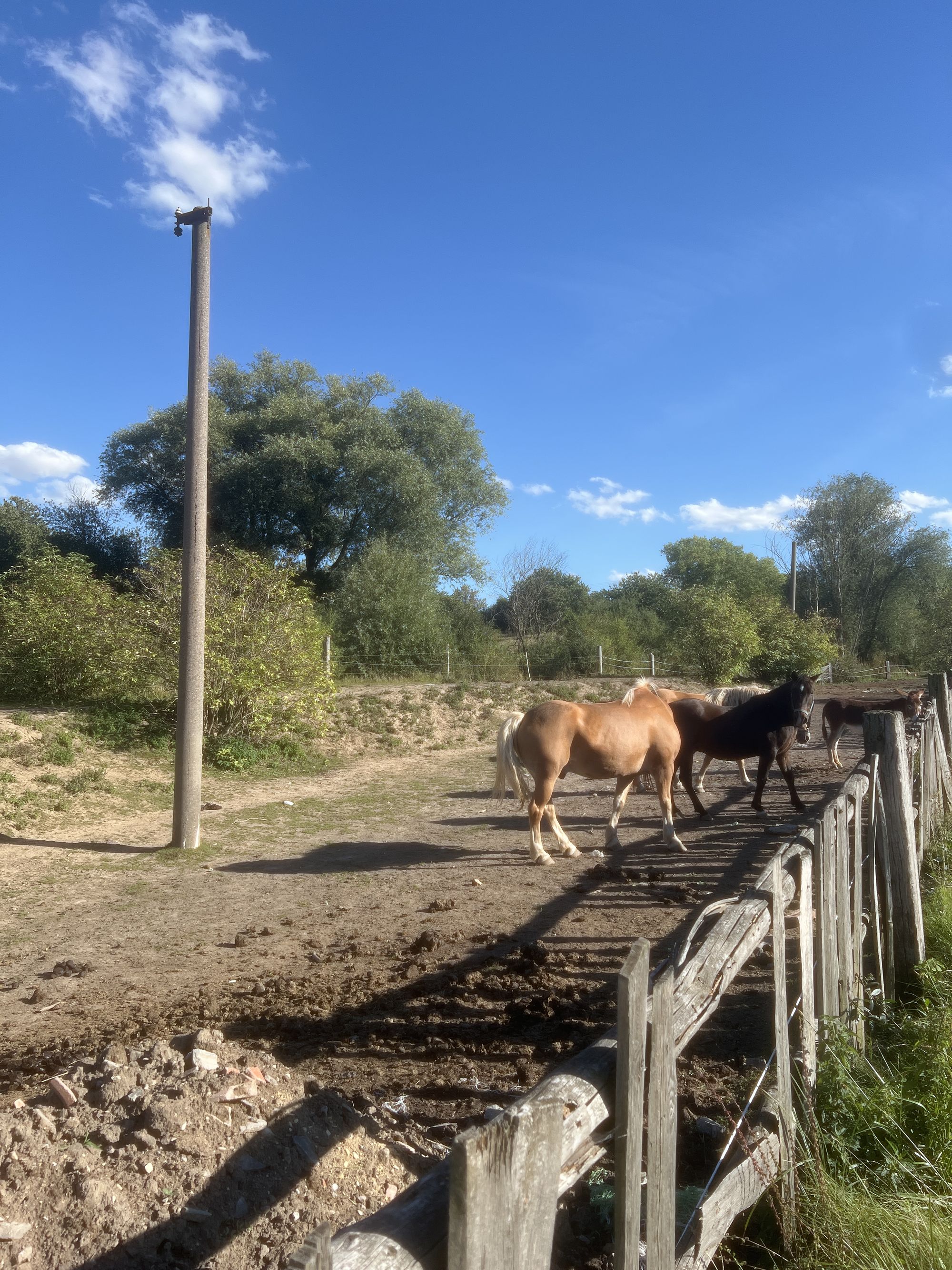Ranč Kozí vrch foto 3