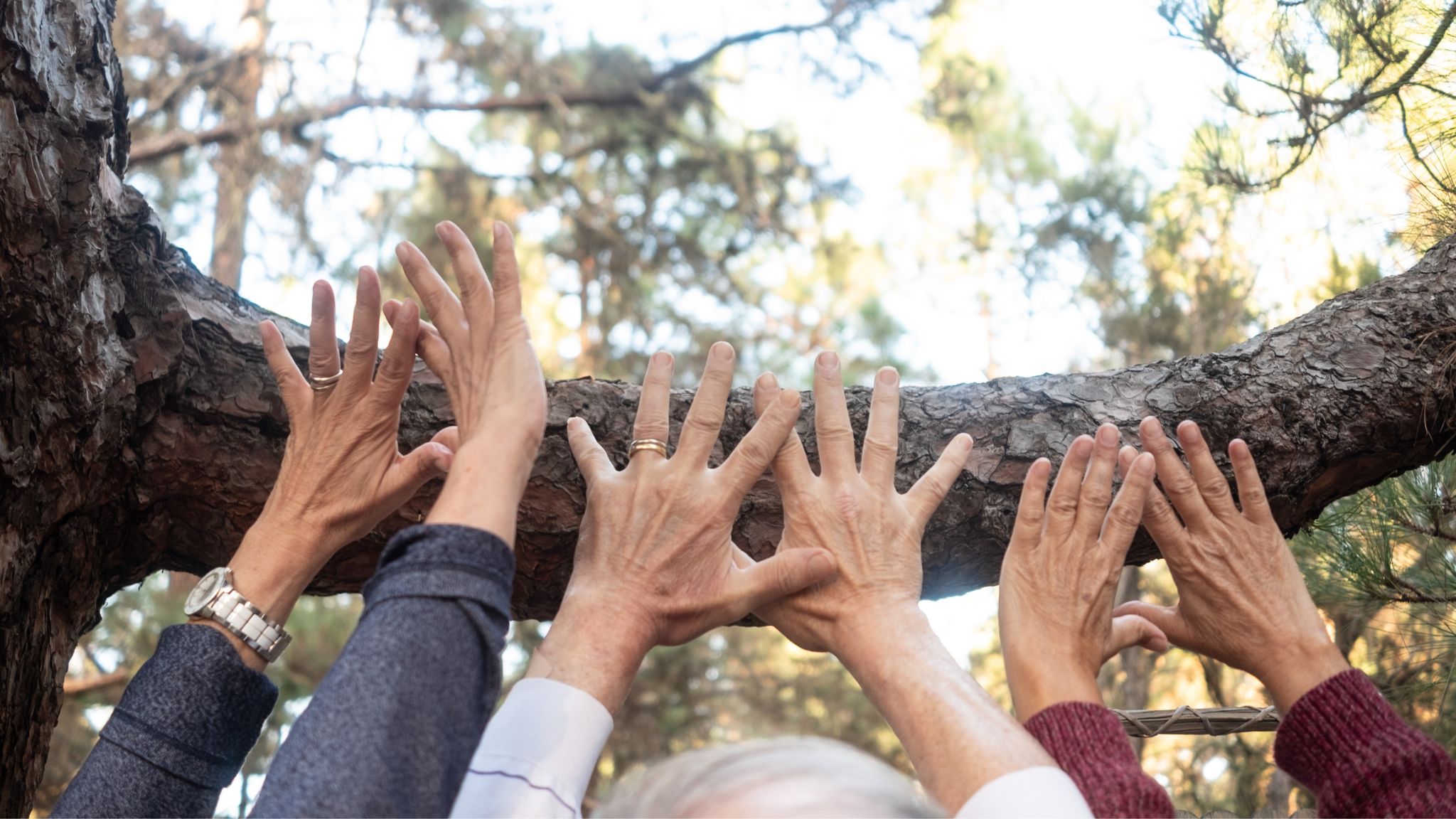 Blízkost, z.s. foto 4
