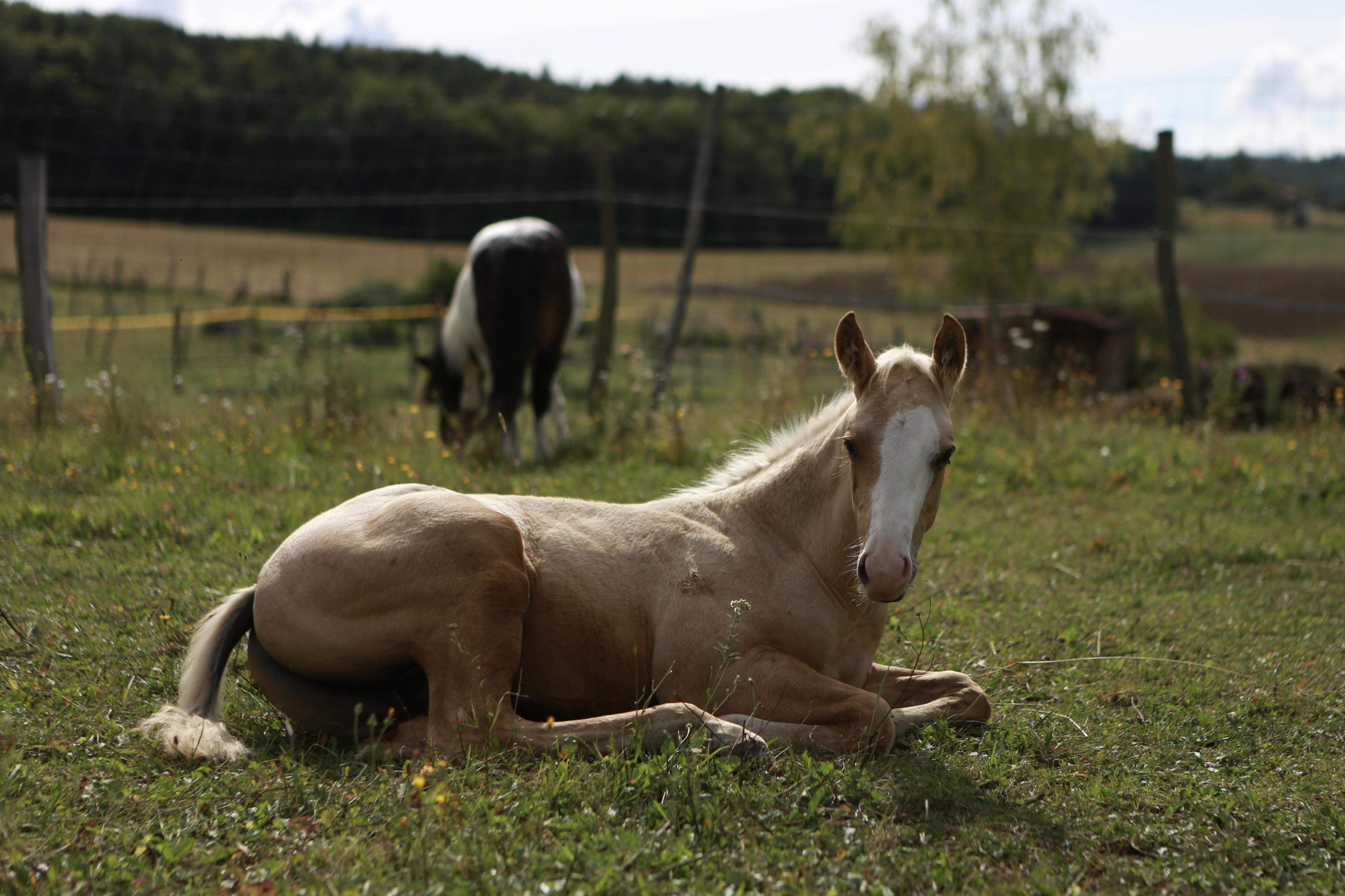 Statek Pohoda Karolína Vágnerová