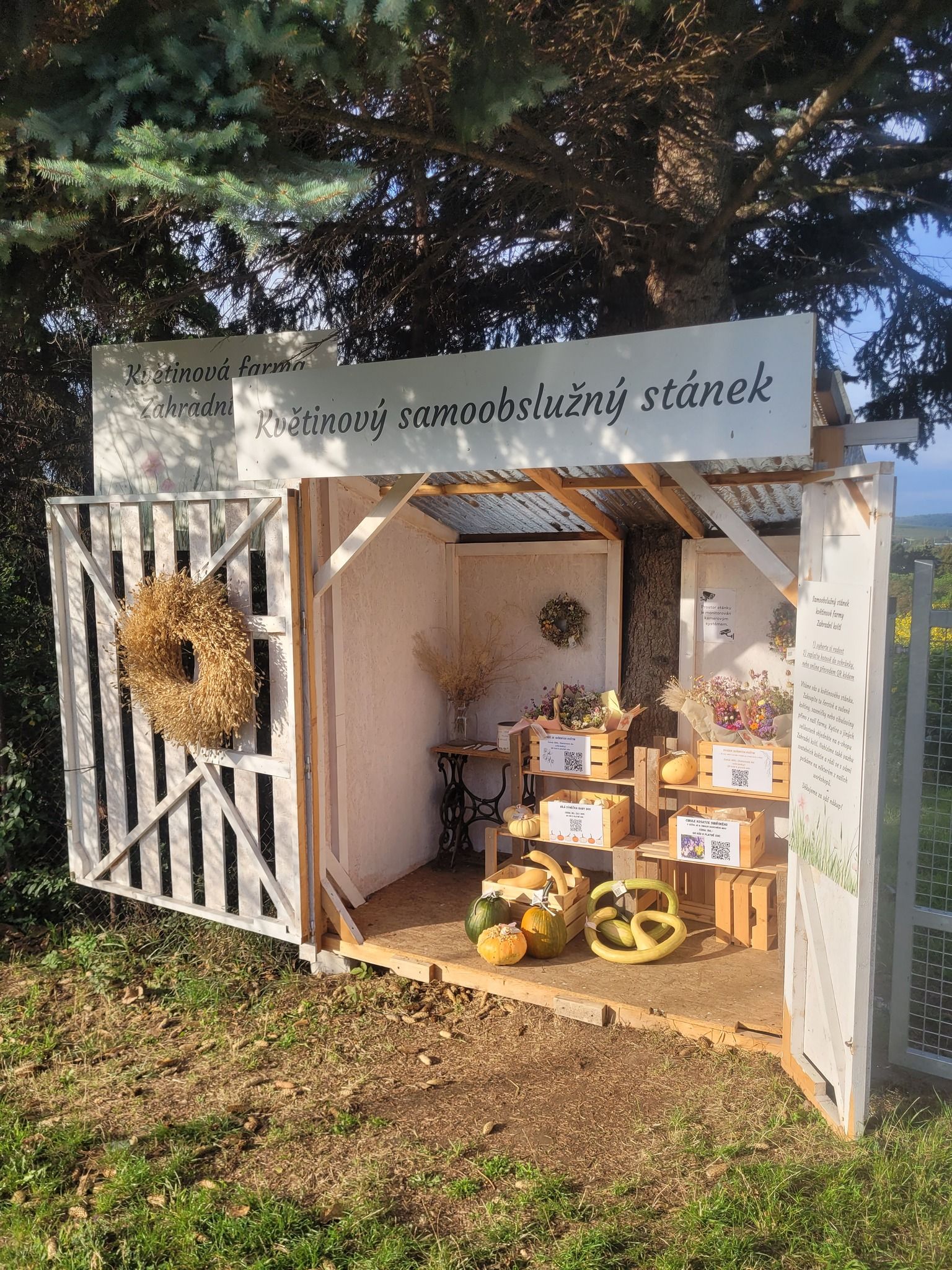 Květinový stánek Zahradní kvítí foto 4