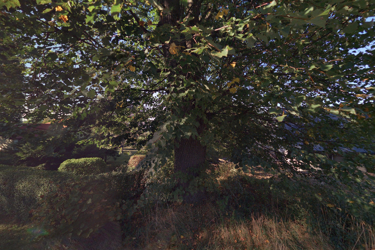 PROJEKT BESKYDY foto 5