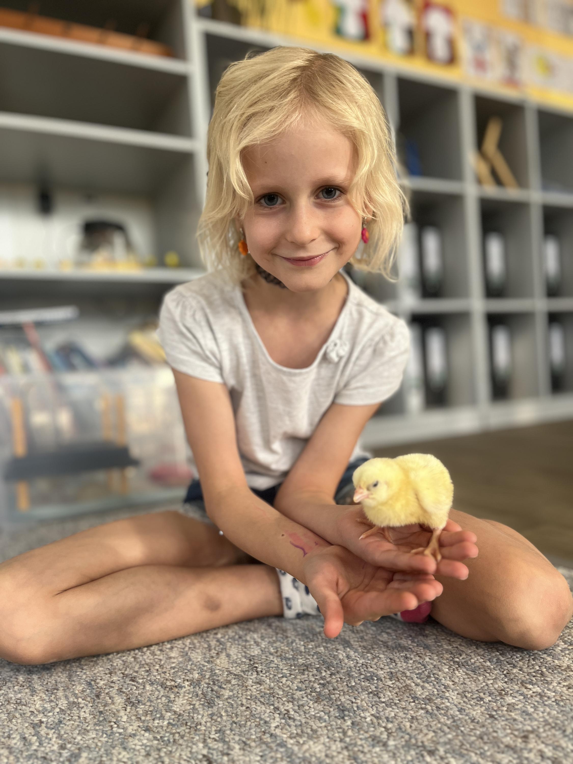 Základní škola a mateřská škola Basic foto 5