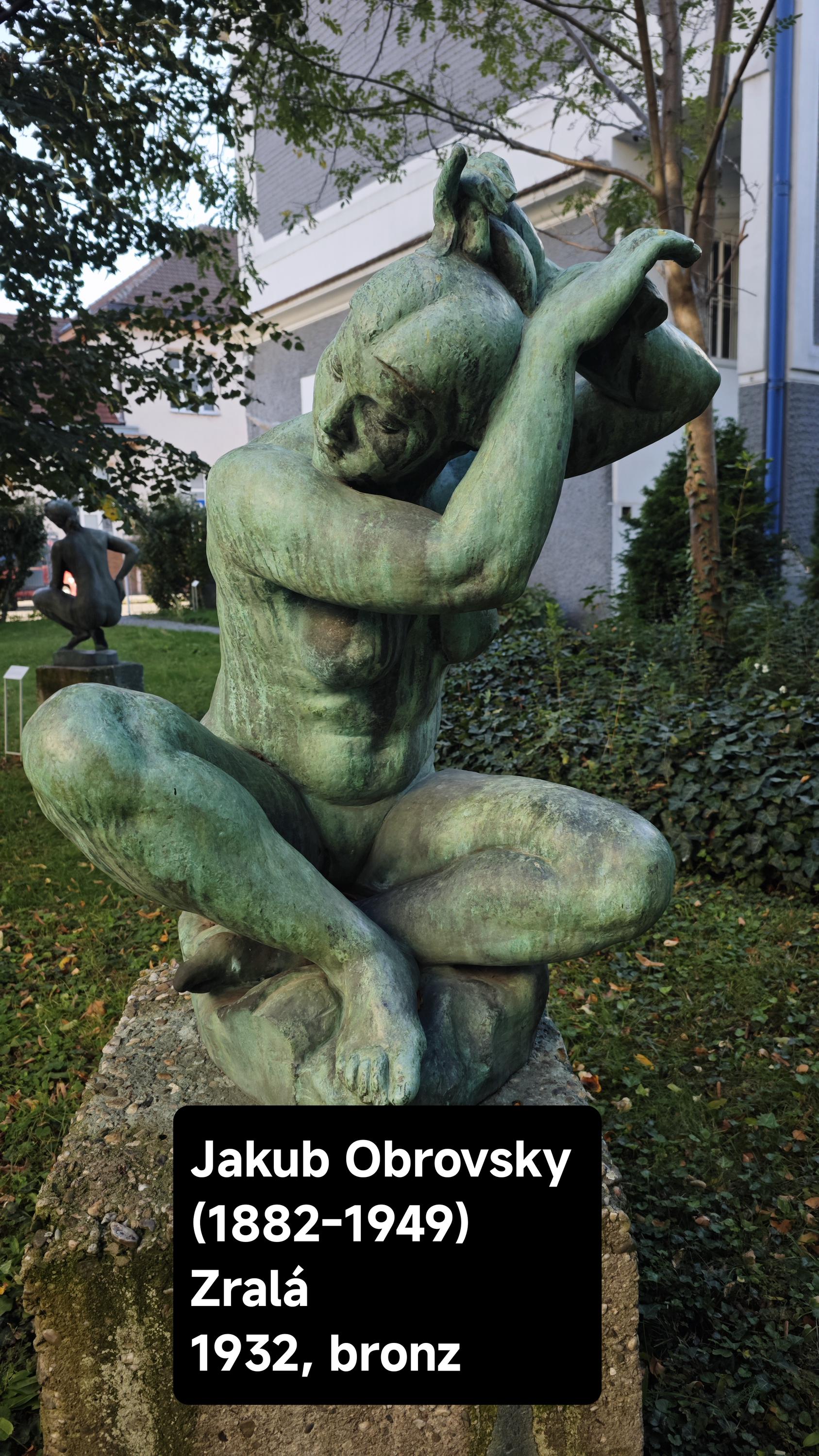Galerie výtvarného umění v Hodoníně foto 2