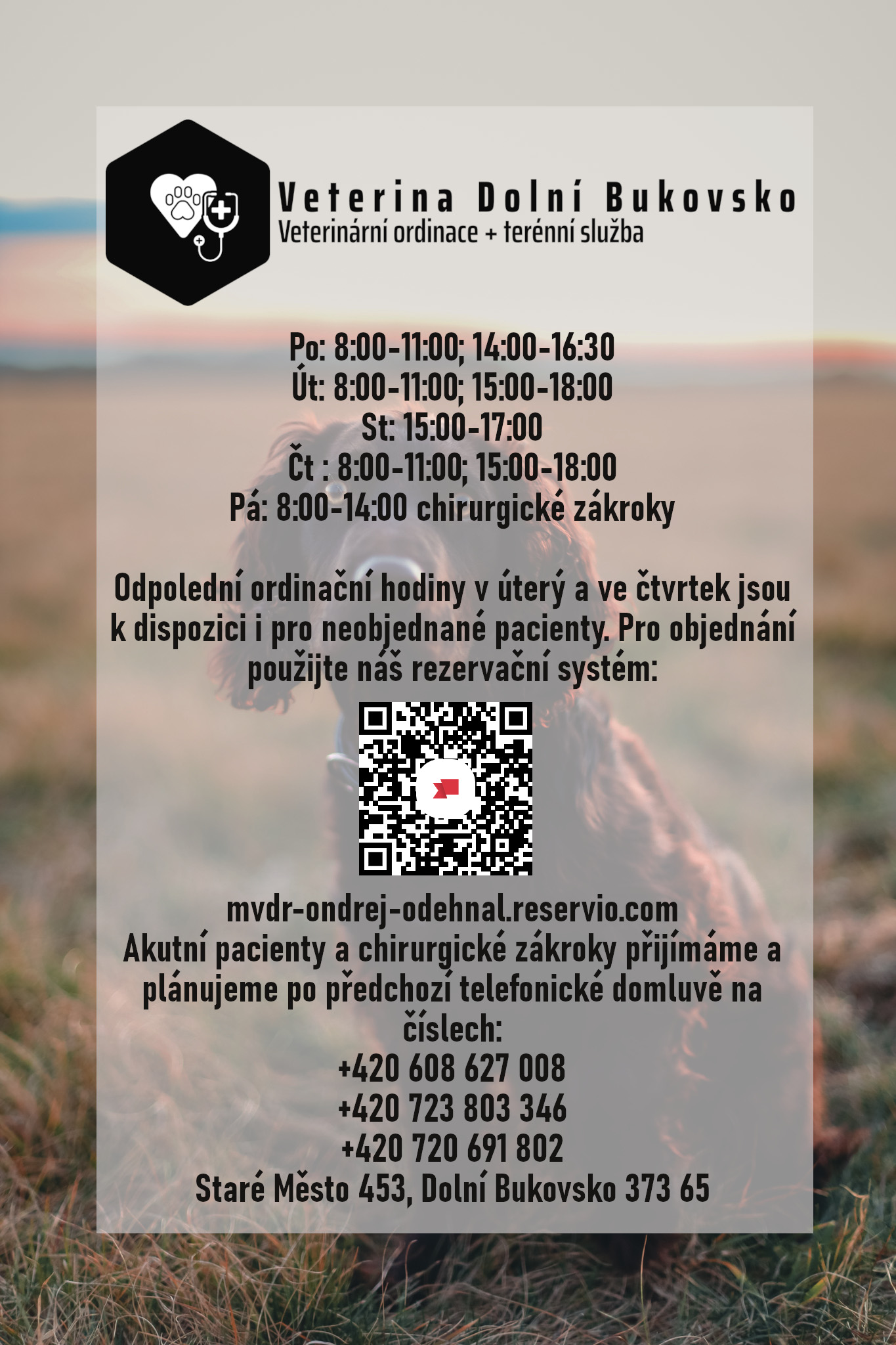 Veterina Dolní Bukovsko foto 2
