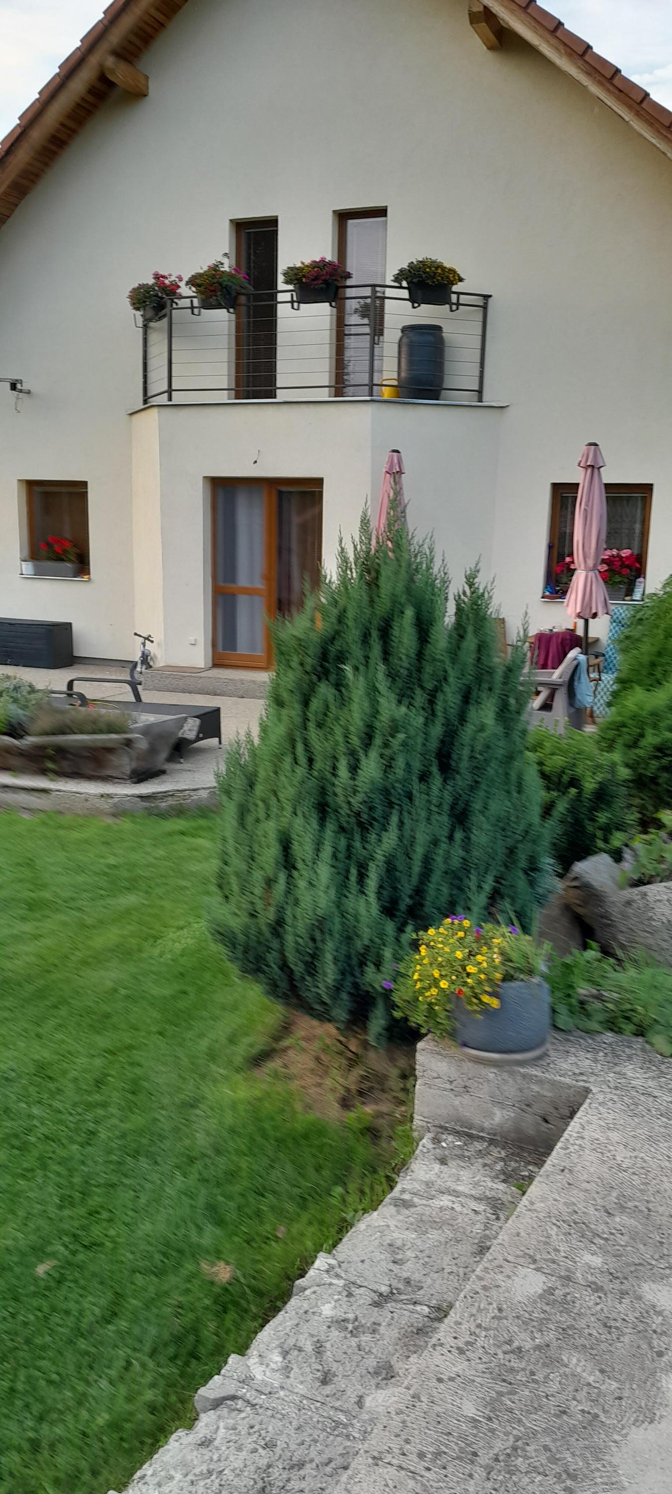 Luboš Koumar foto 3