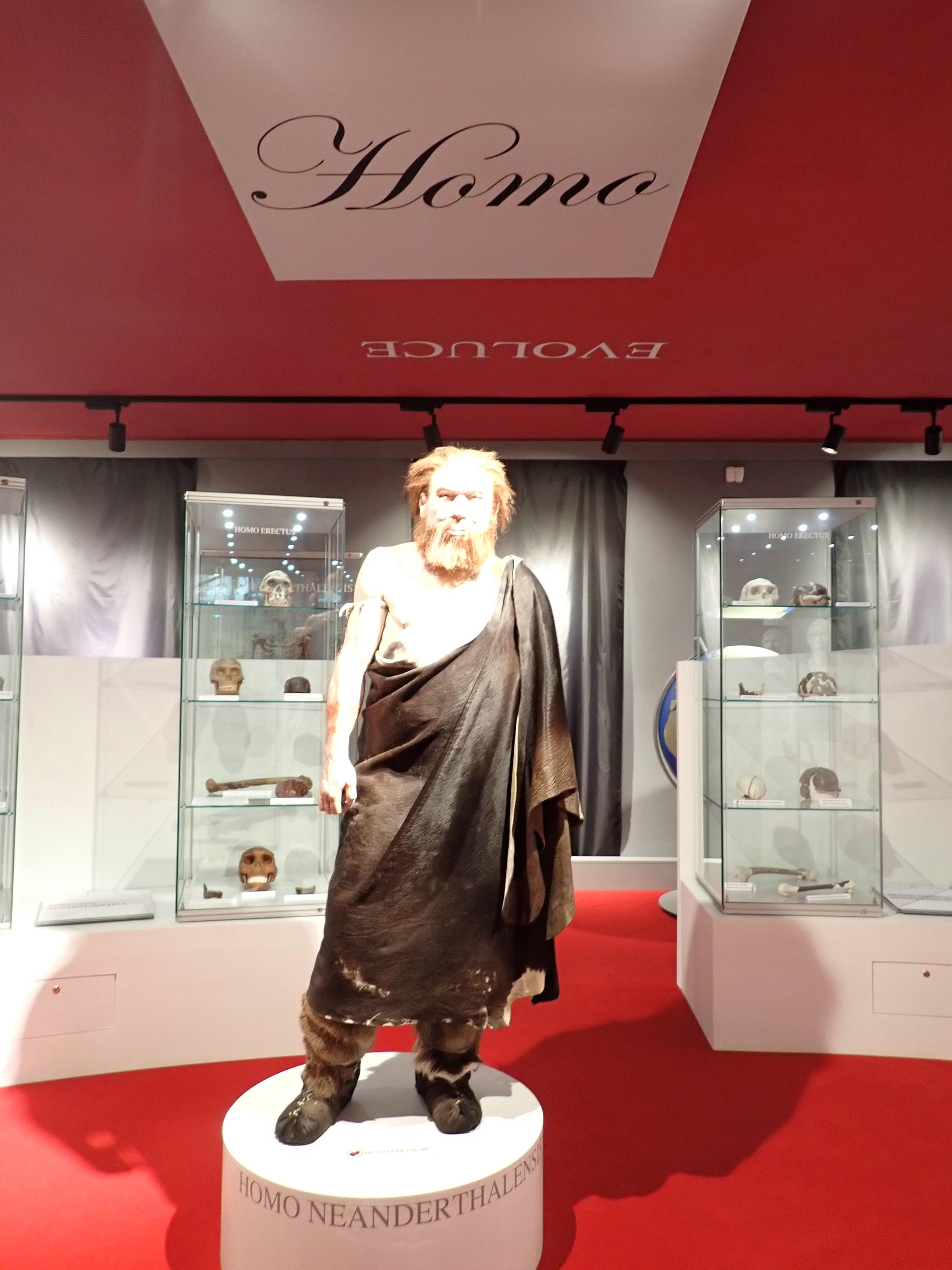 Muzeum dr. Aleše Hrdličky foto 5