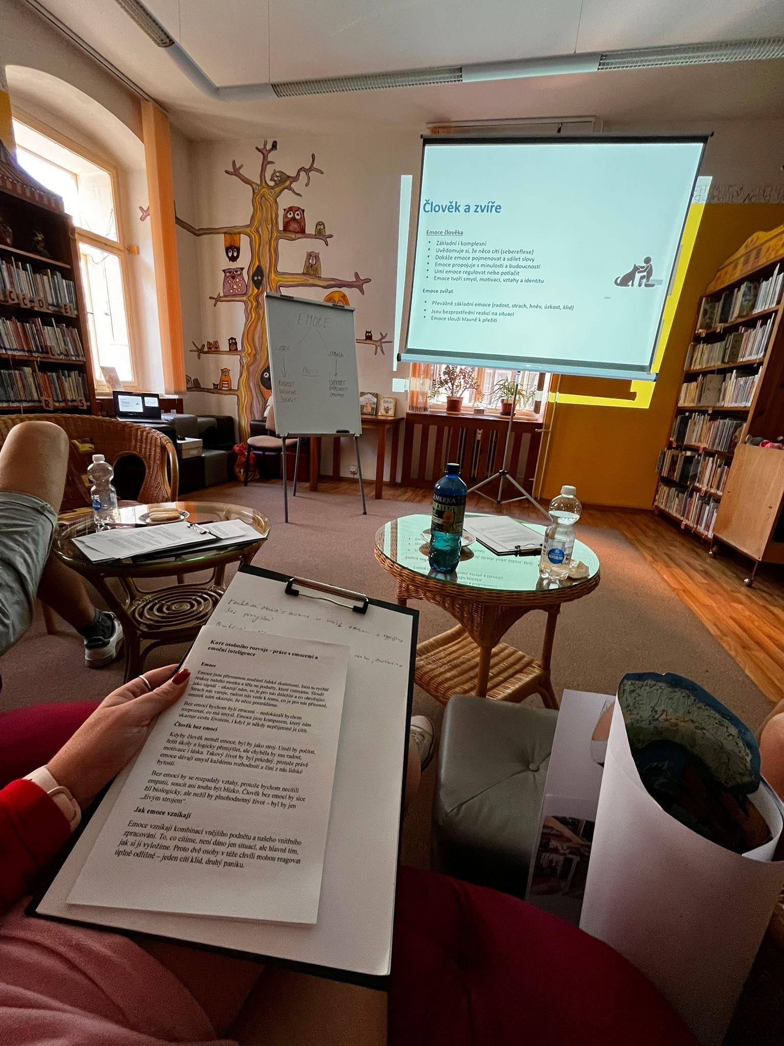 Koučink, konzultace a přednášky osobního rozvoje | Bc. Sandra Kopáčková foto 2