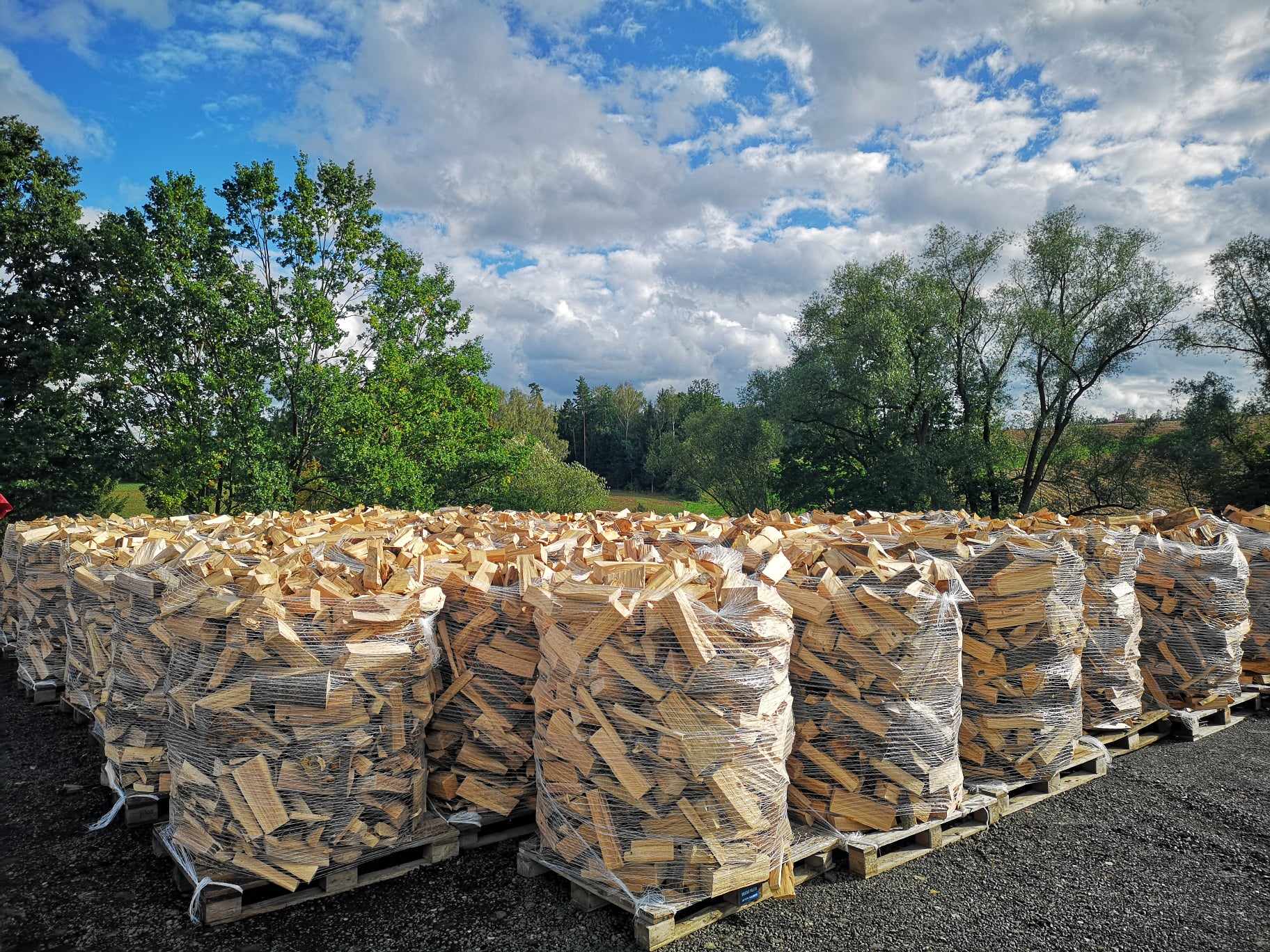 Ipalivo.cz foto 2
